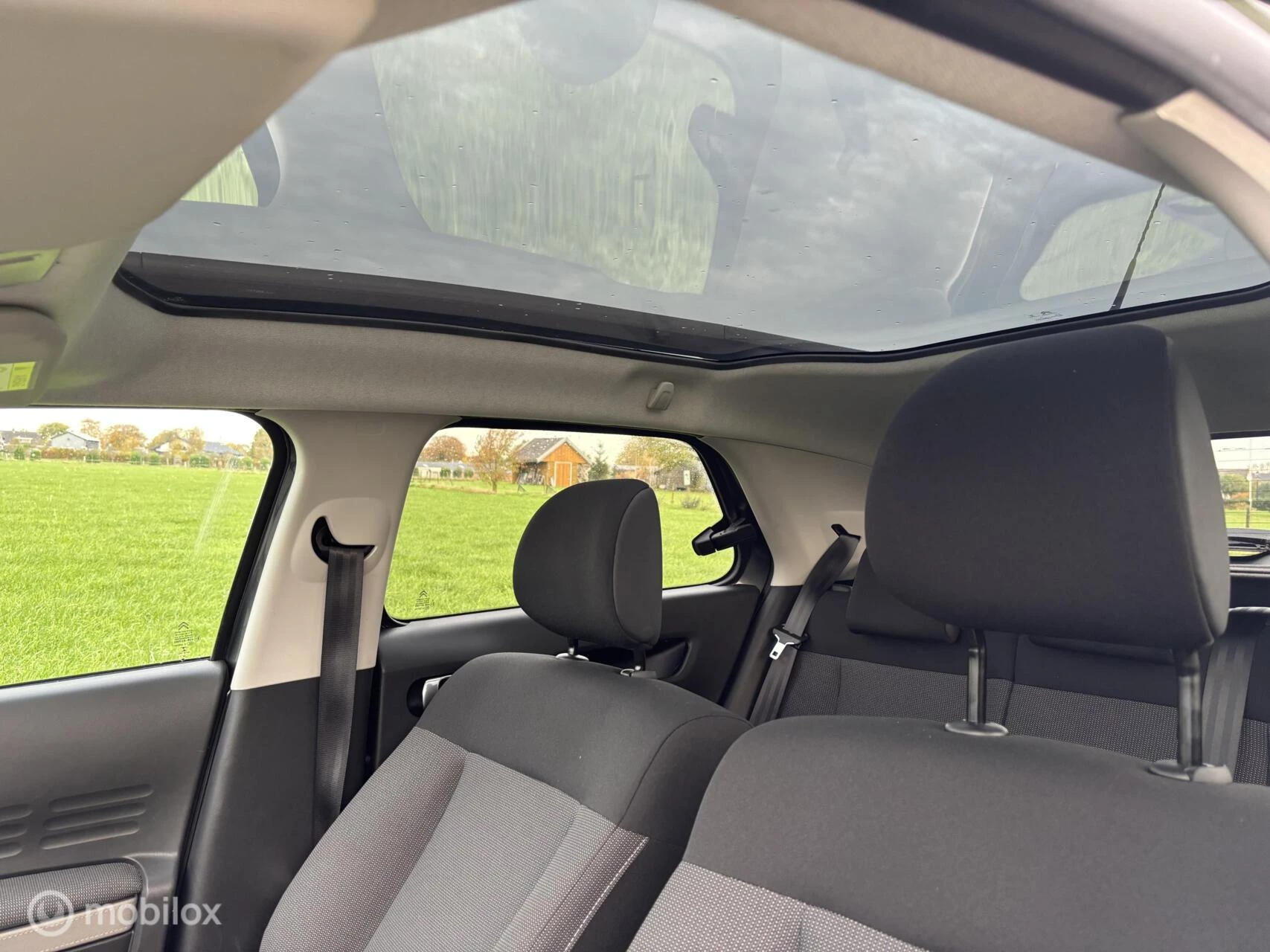 Hoofdafbeelding Citroën C4 Cactus