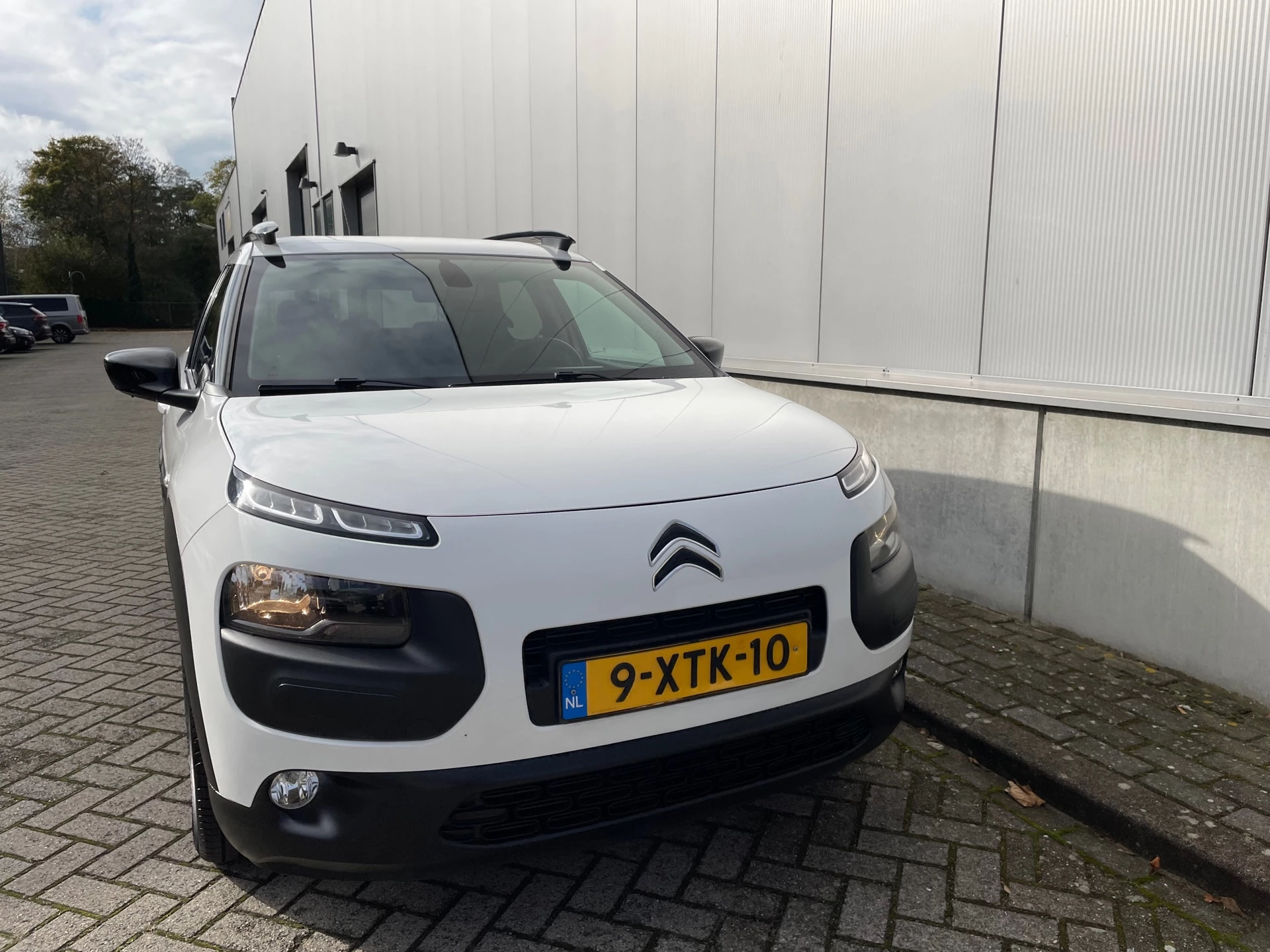 Hoofdafbeelding Citroën C4 Cactus