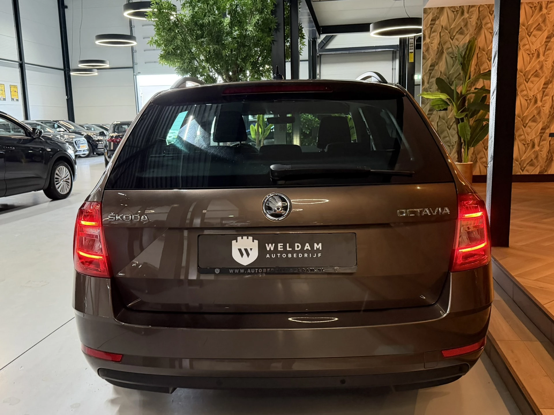 Hoofdafbeelding Škoda Octavia
