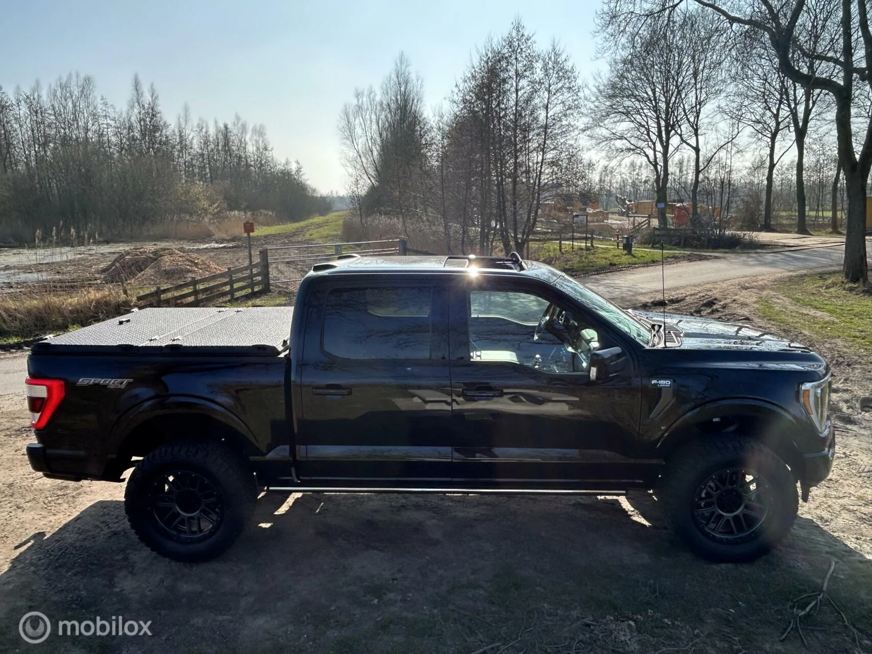 Hoofdafbeelding Ford F-150