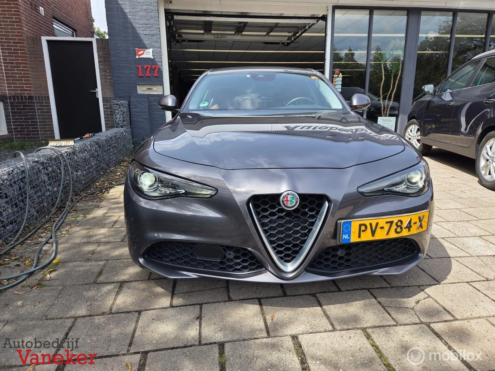 Hoofdafbeelding Alfa Romeo Giulia