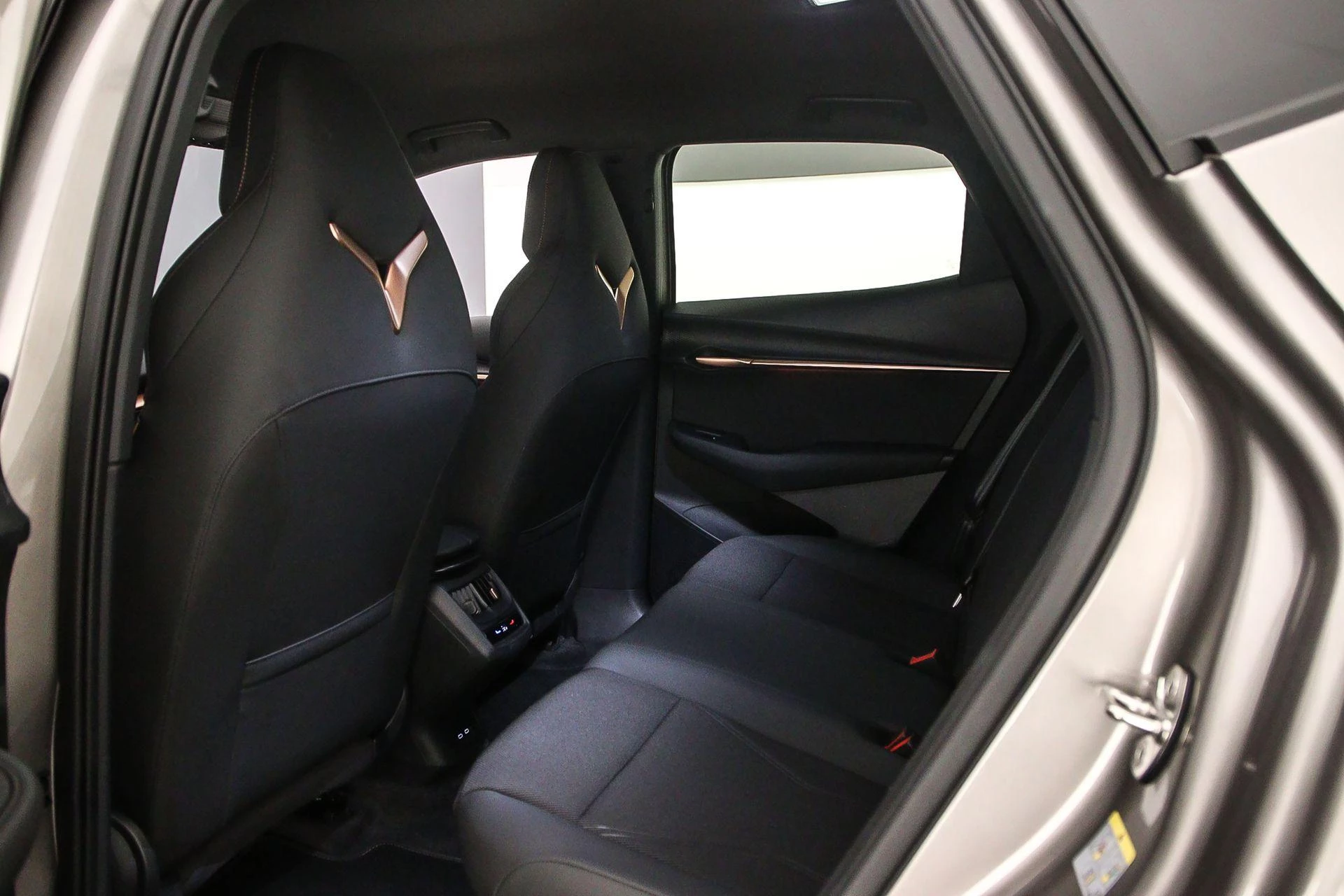 Hoofdafbeelding CUPRA Tavascan