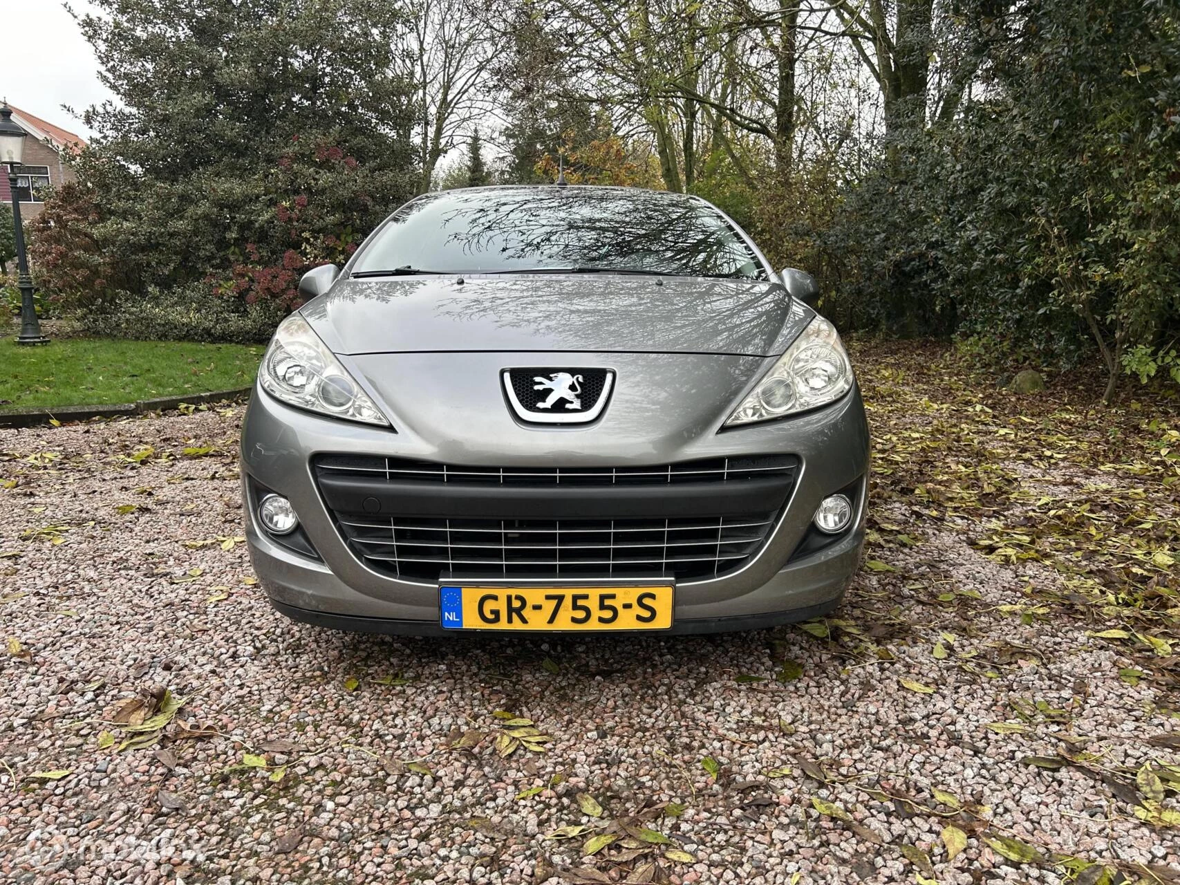 Hoofdafbeelding Peugeot 207