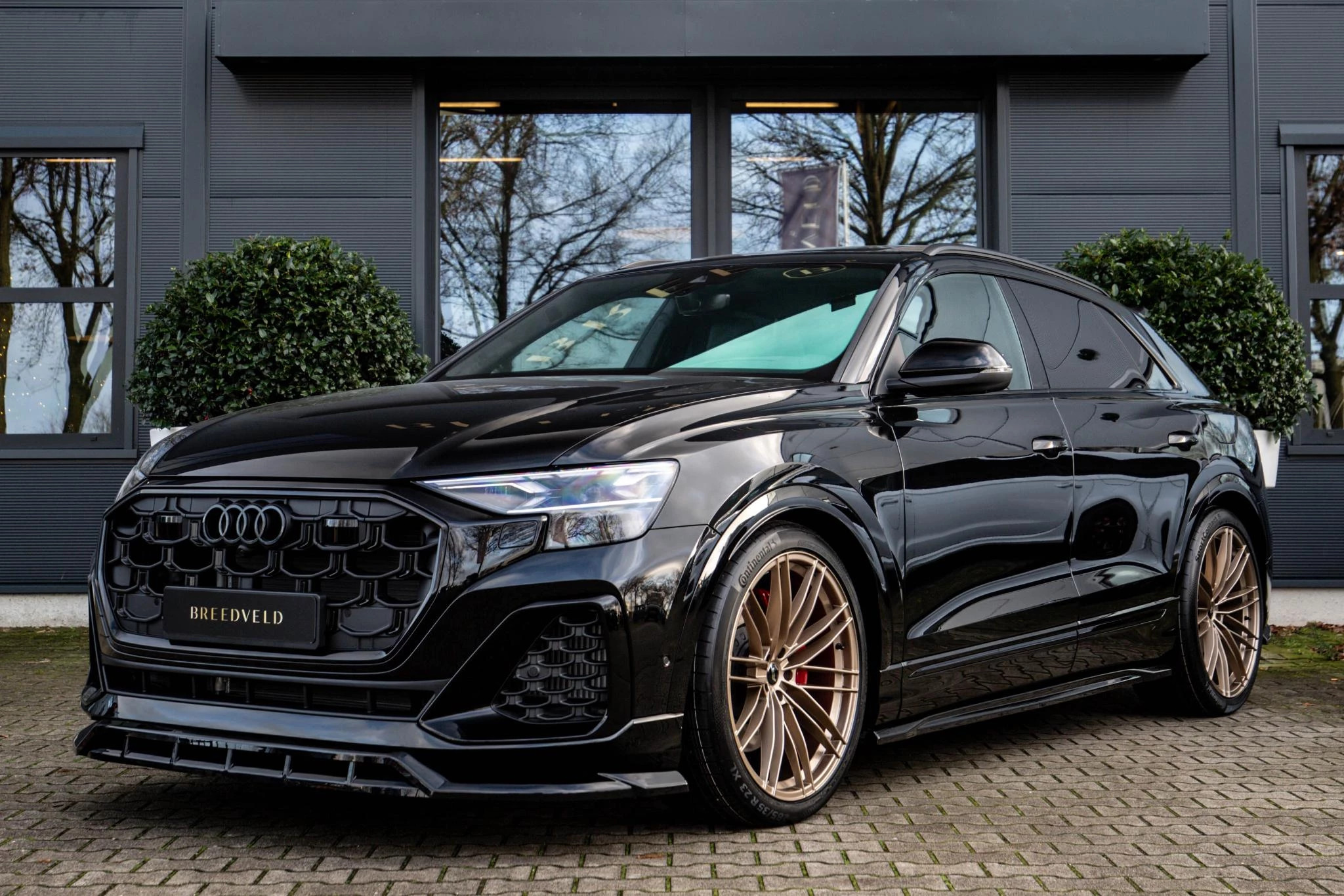 Hoofdafbeelding Audi Q8