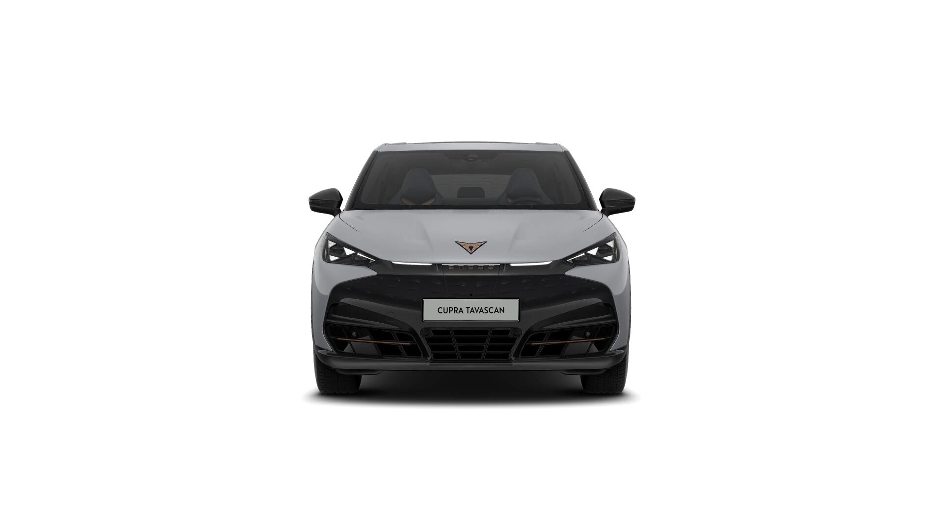 Hoofdafbeelding CUPRA Tavascan