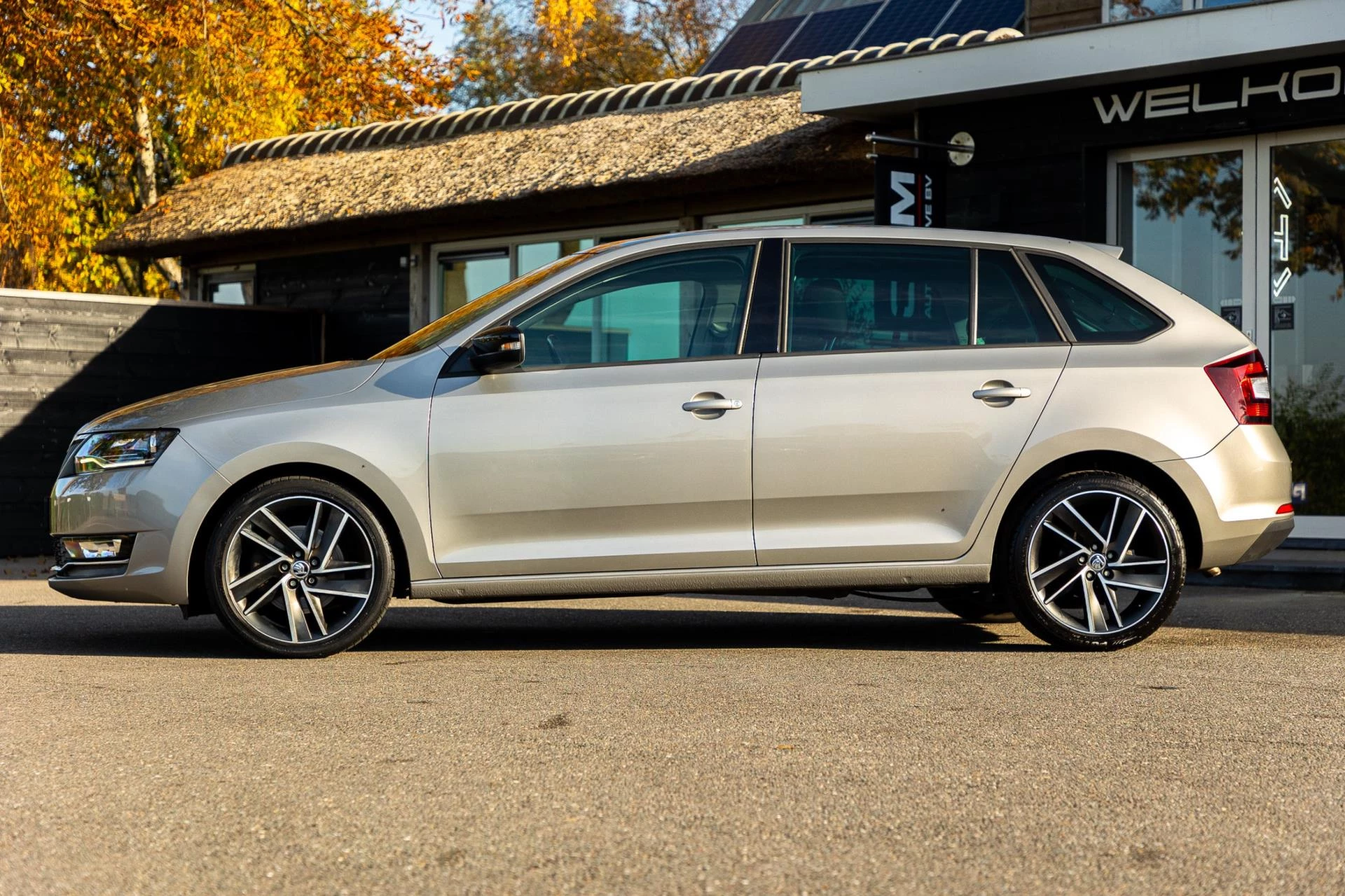 Hoofdafbeelding Škoda Rapid