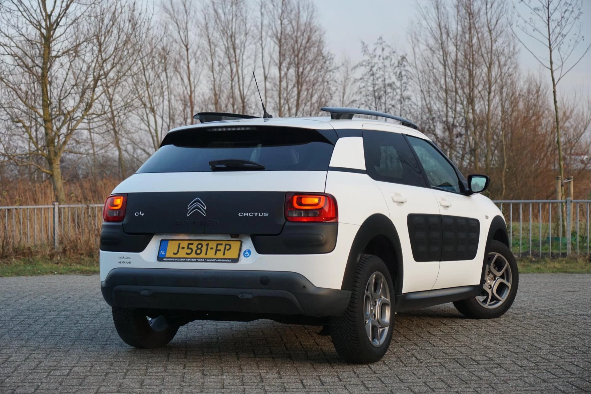 Hoofdafbeelding Citroën C4 Cactus