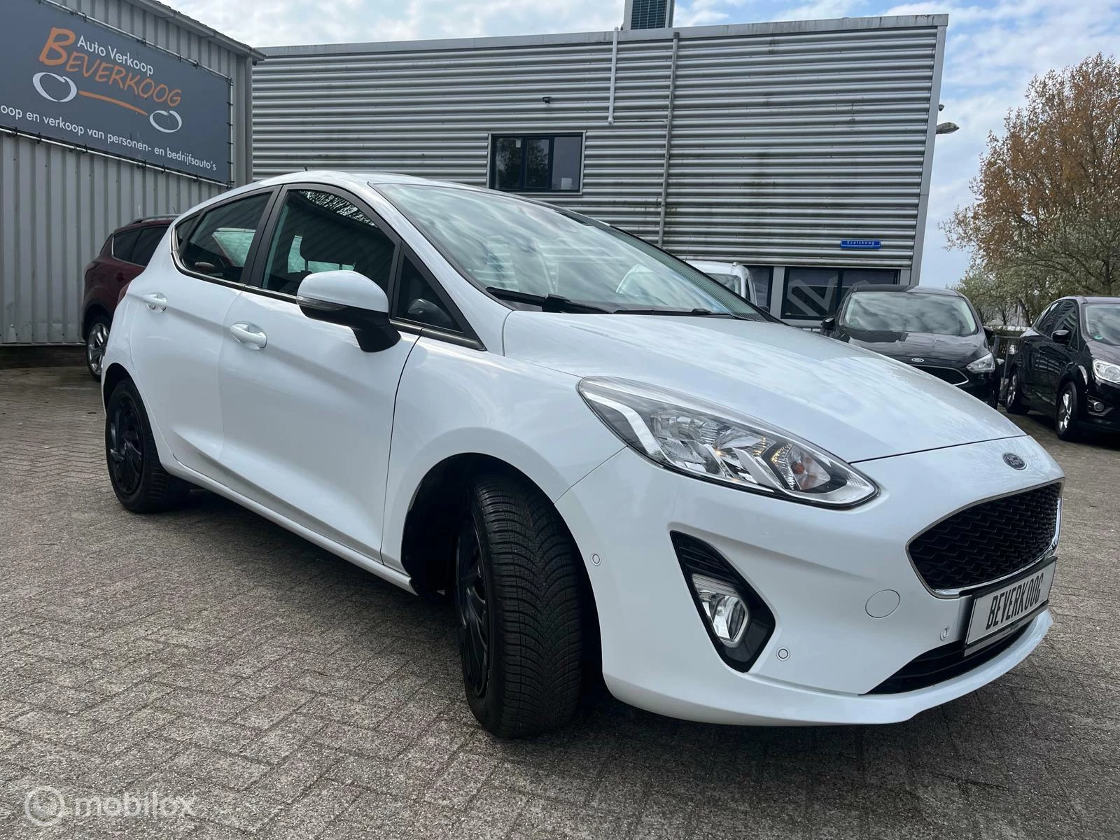 Hoofdafbeelding Ford Fiesta