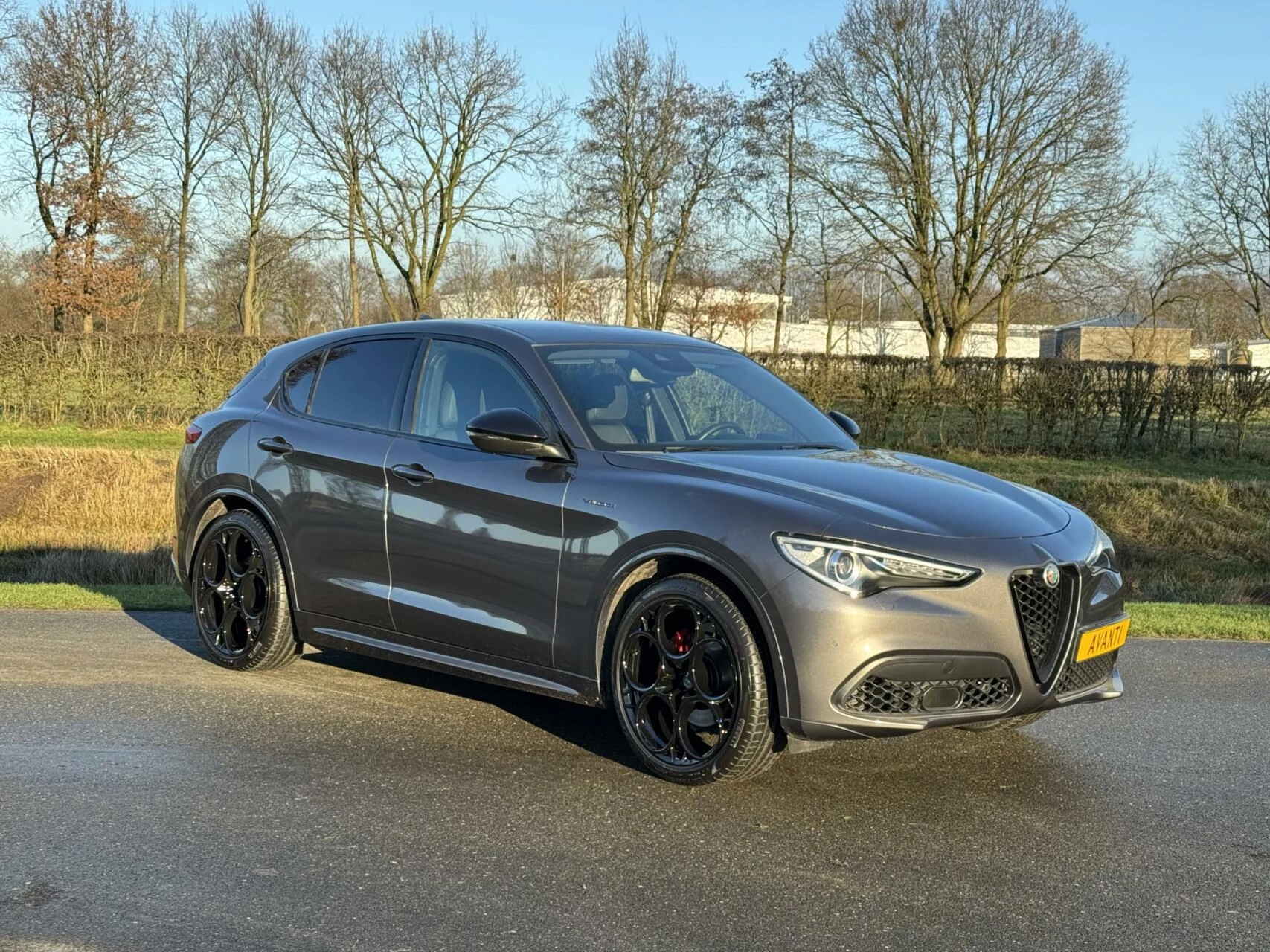 Hoofdafbeelding Alfa Romeo Stelvio