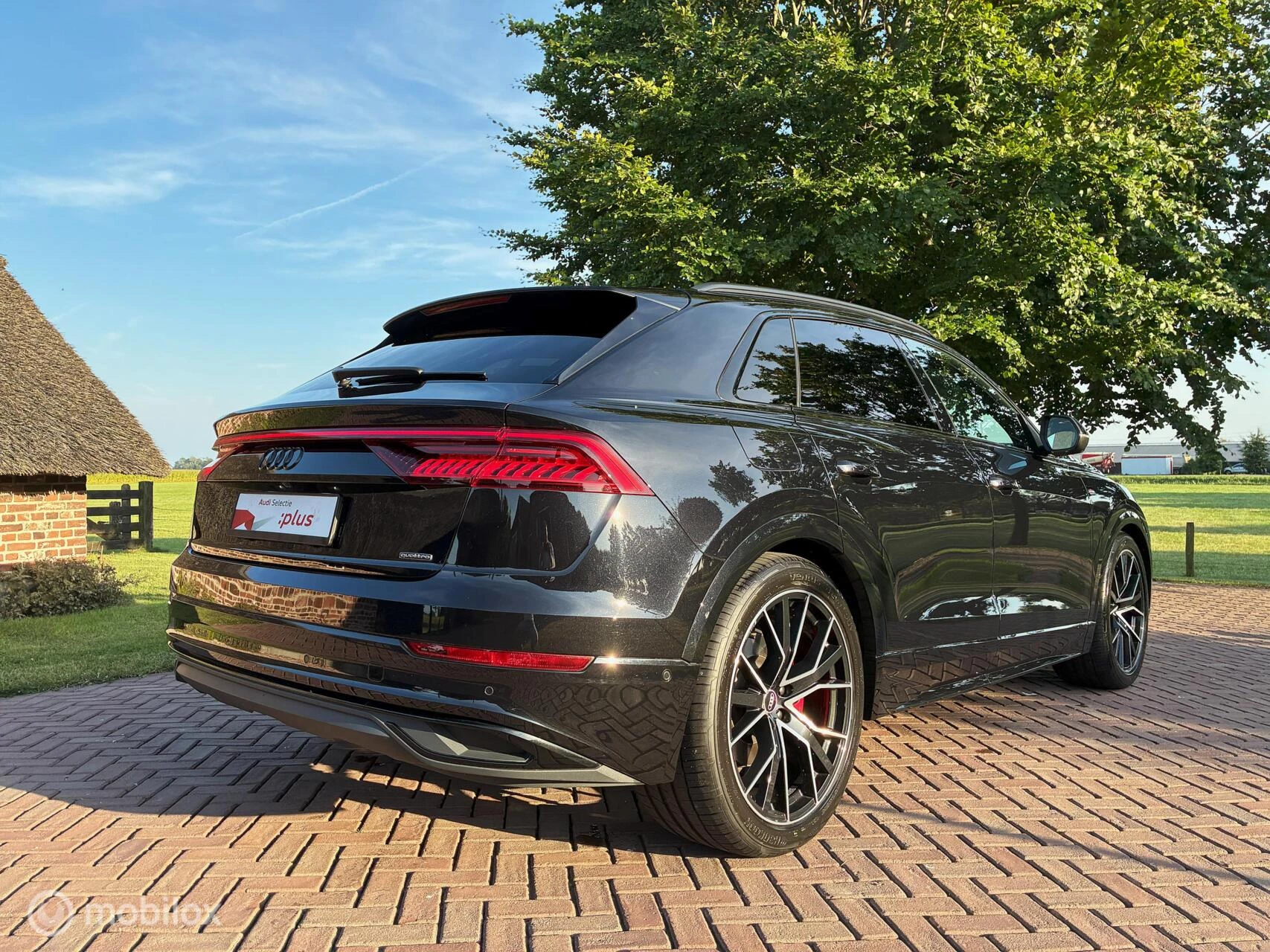 Hoofdafbeelding Audi Q8