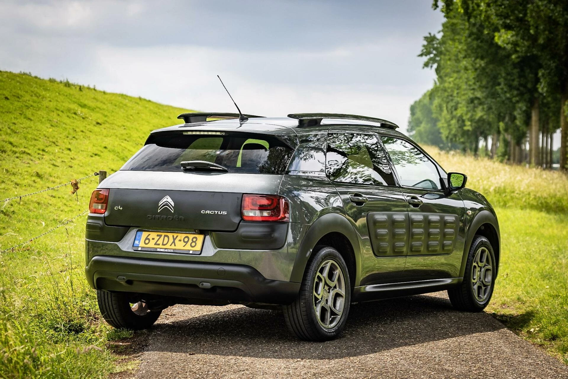 Hoofdafbeelding Citroën C4 Cactus