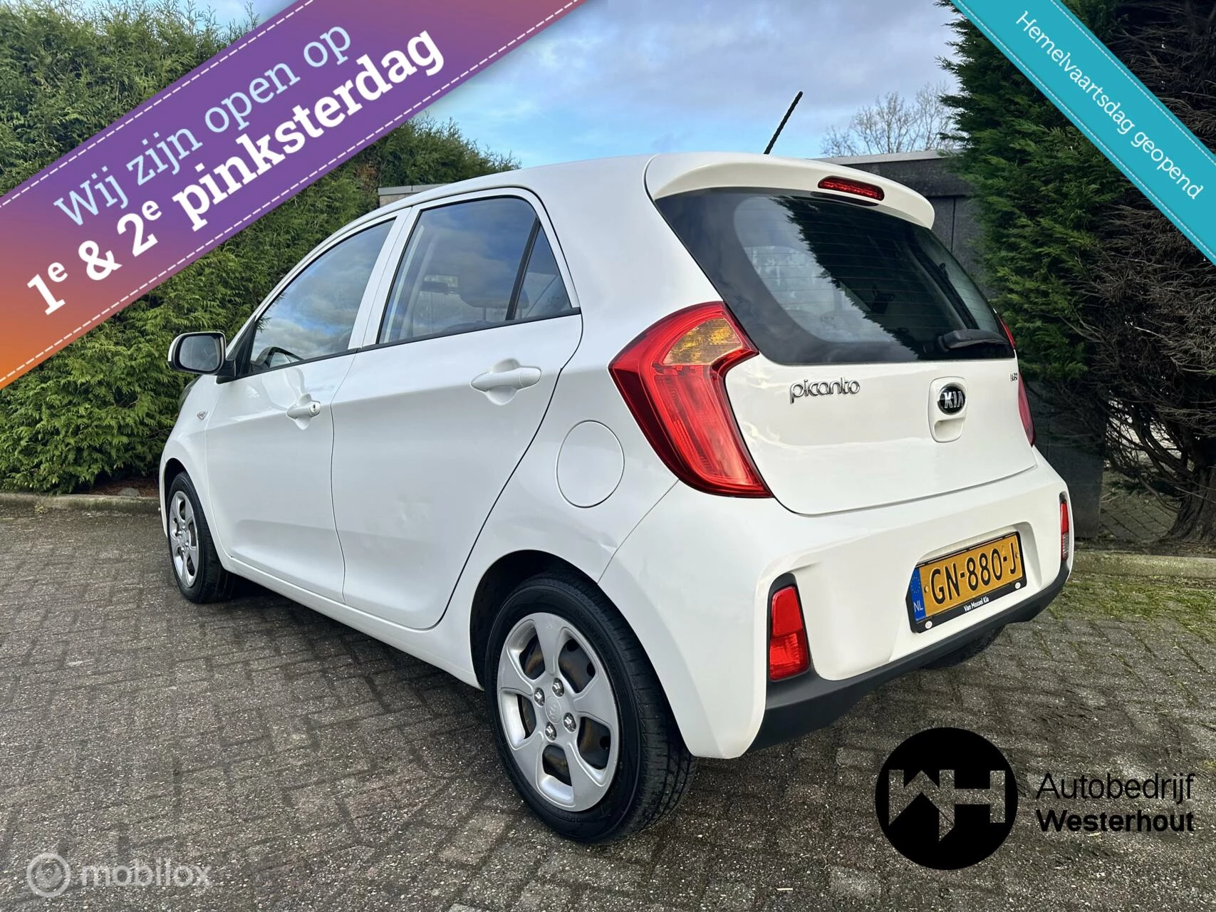 Hoofdafbeelding Kia Picanto