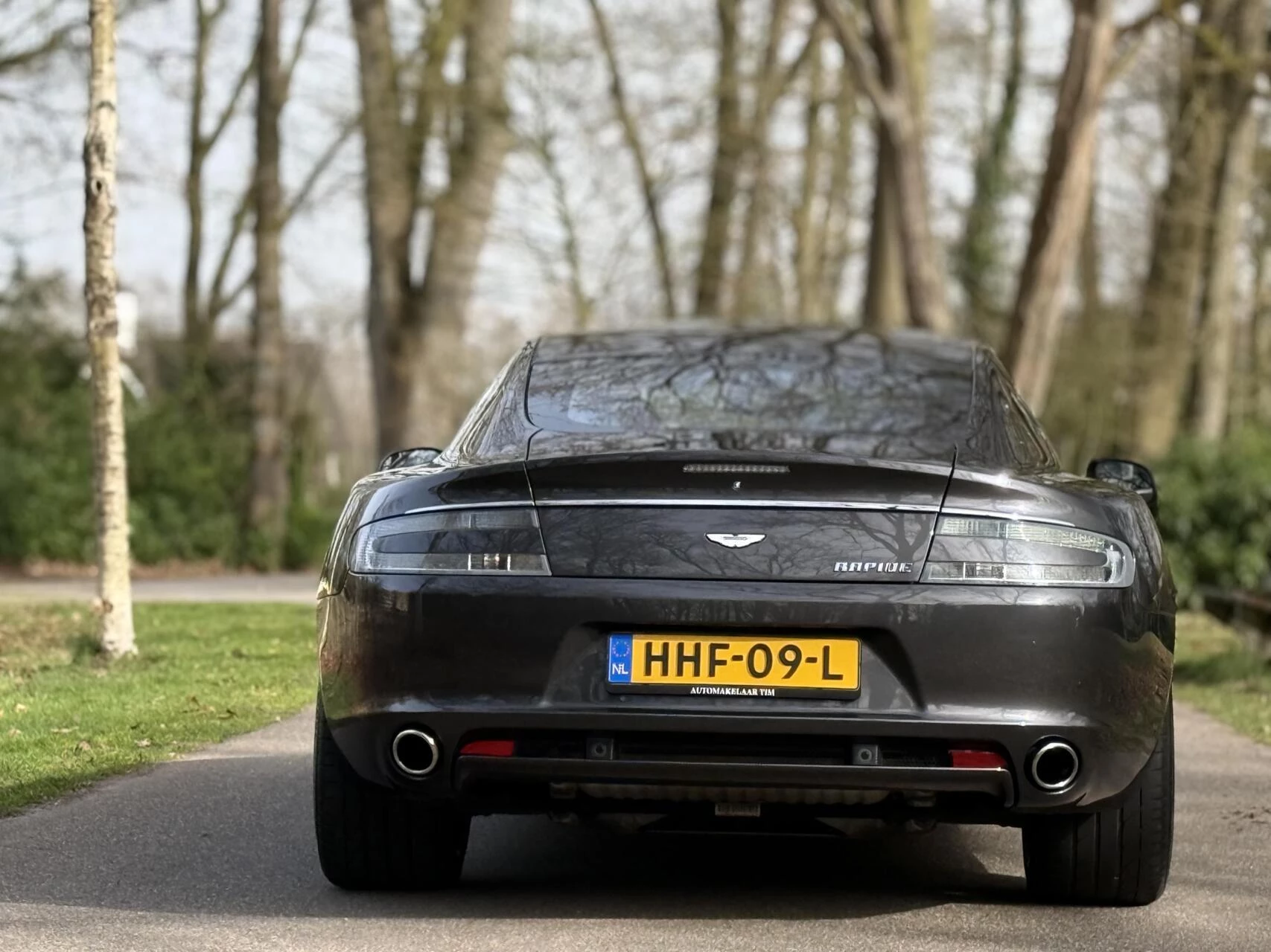 Hoofdafbeelding Aston Martin Rapide