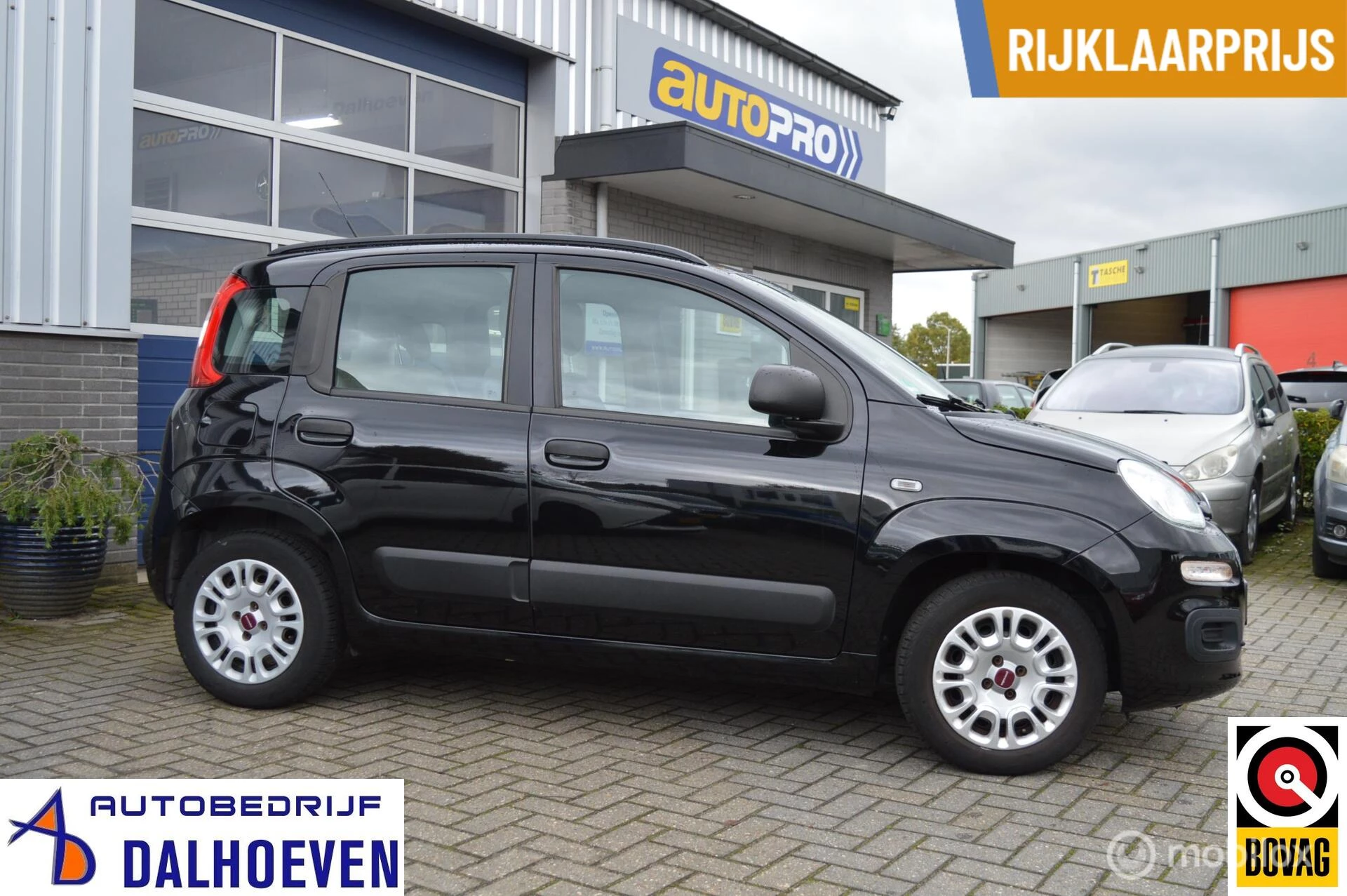 Hoofdafbeelding Fiat Panda