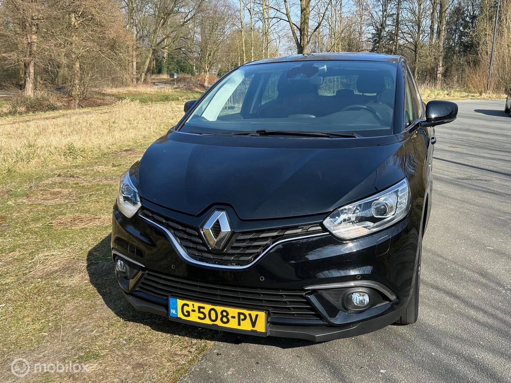 Hoofdafbeelding Renault Scénic
