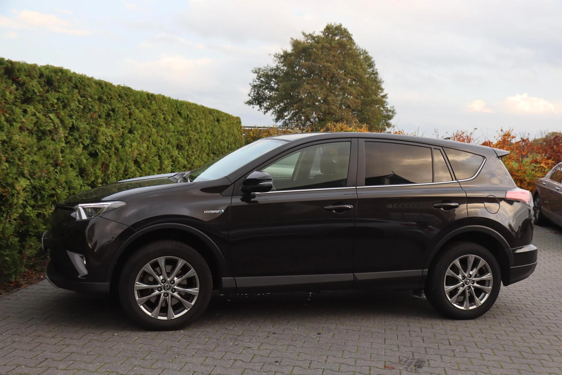 Hoofdafbeelding Toyota RAV4