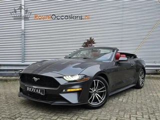 Ford Mustang Convertible 2.3 EcoBoost Navi / Groot scherm carplay / Leder / Airco