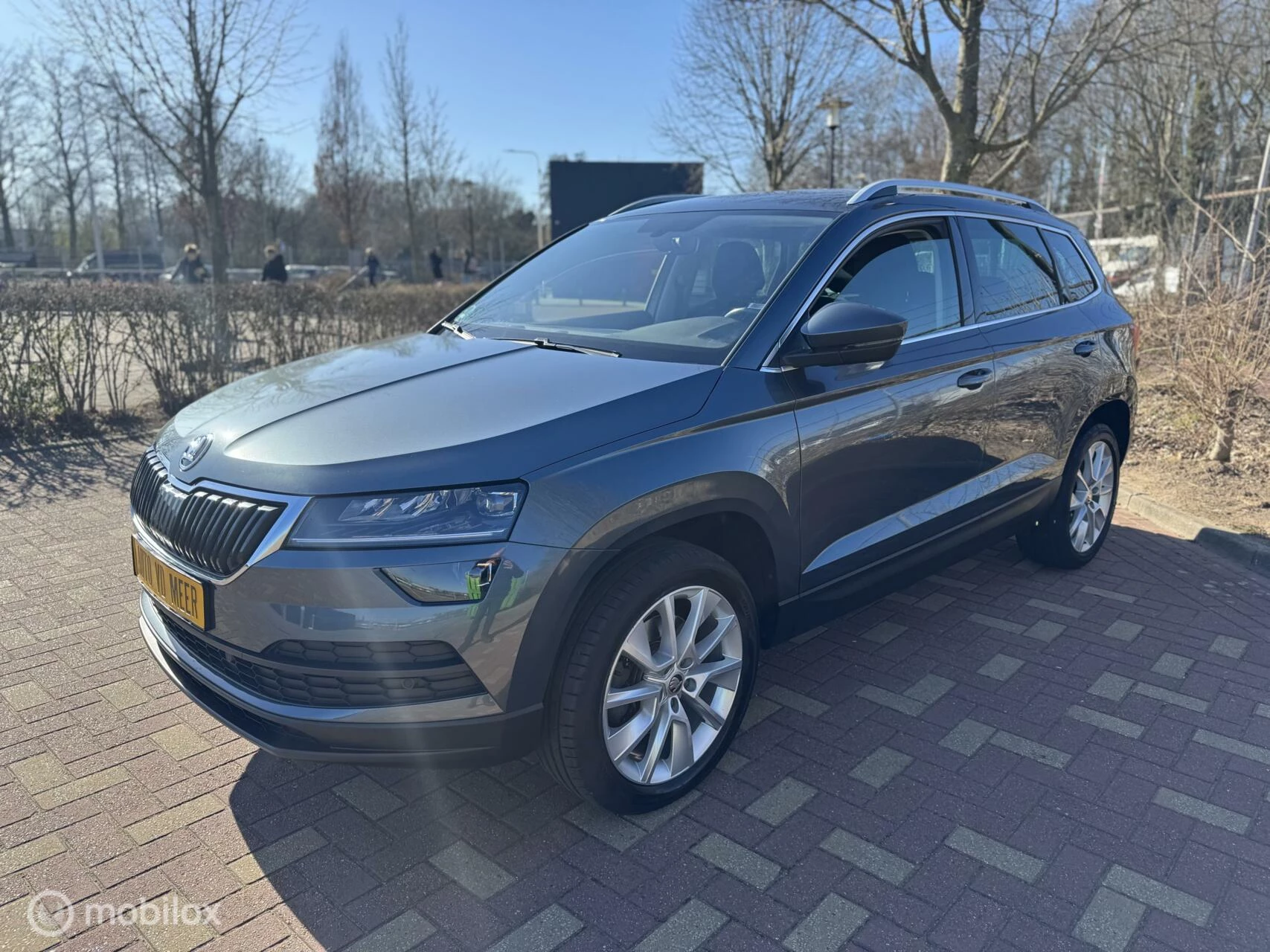 Hoofdafbeelding Škoda Karoq