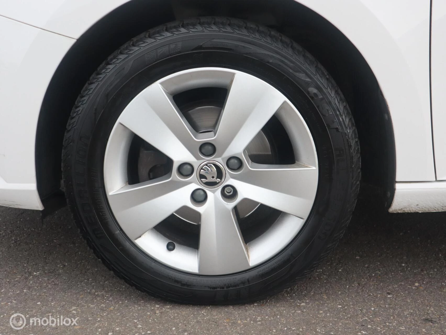 Hoofdafbeelding Škoda Fabia