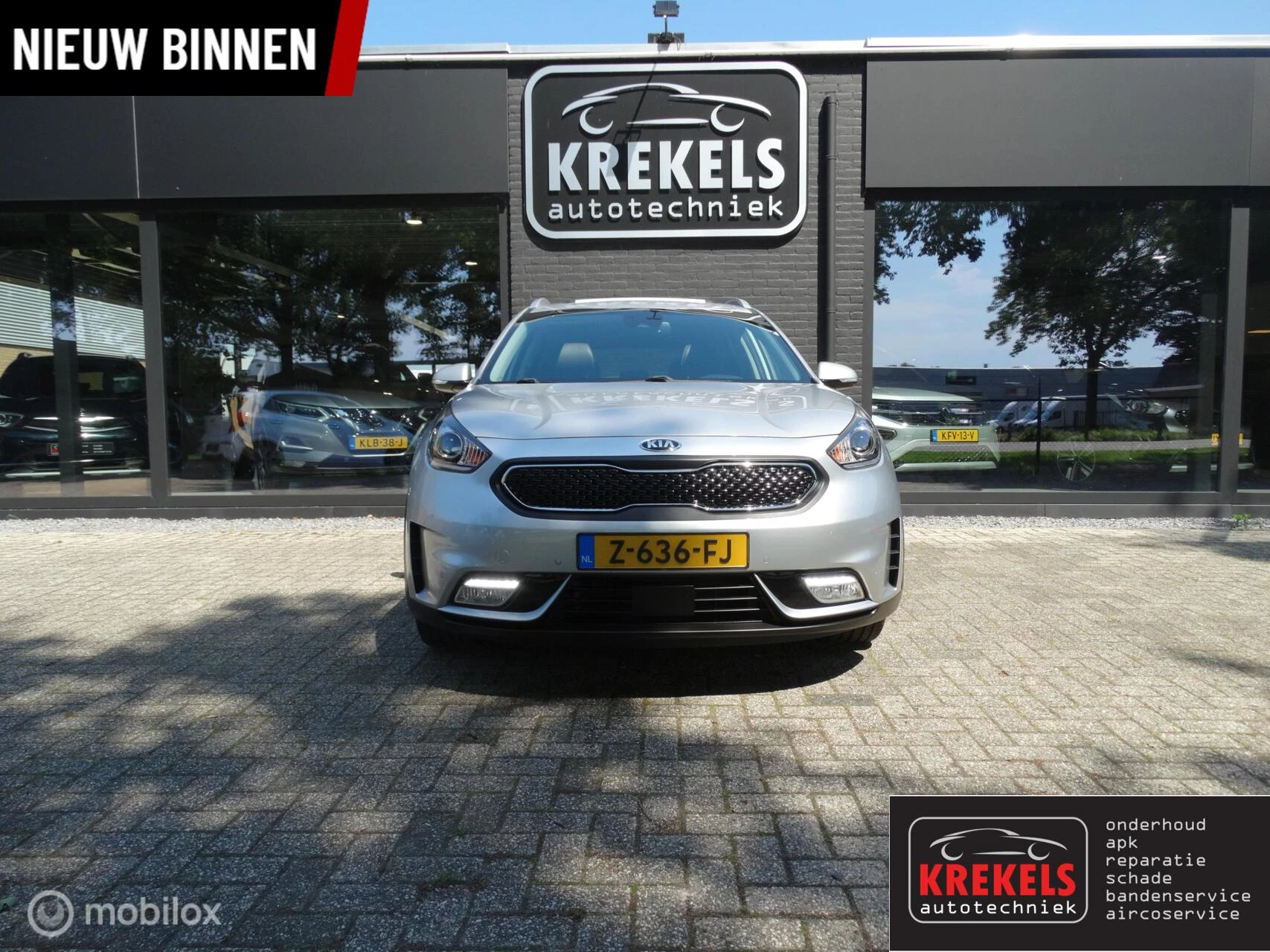 Hoofdafbeelding Kia Niro