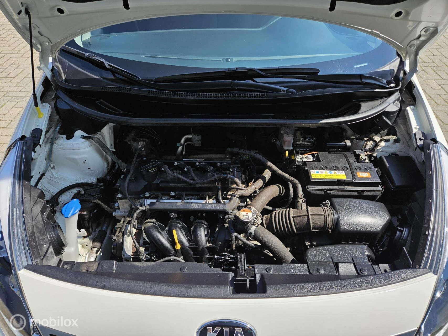 Hoofdafbeelding Kia Rio
