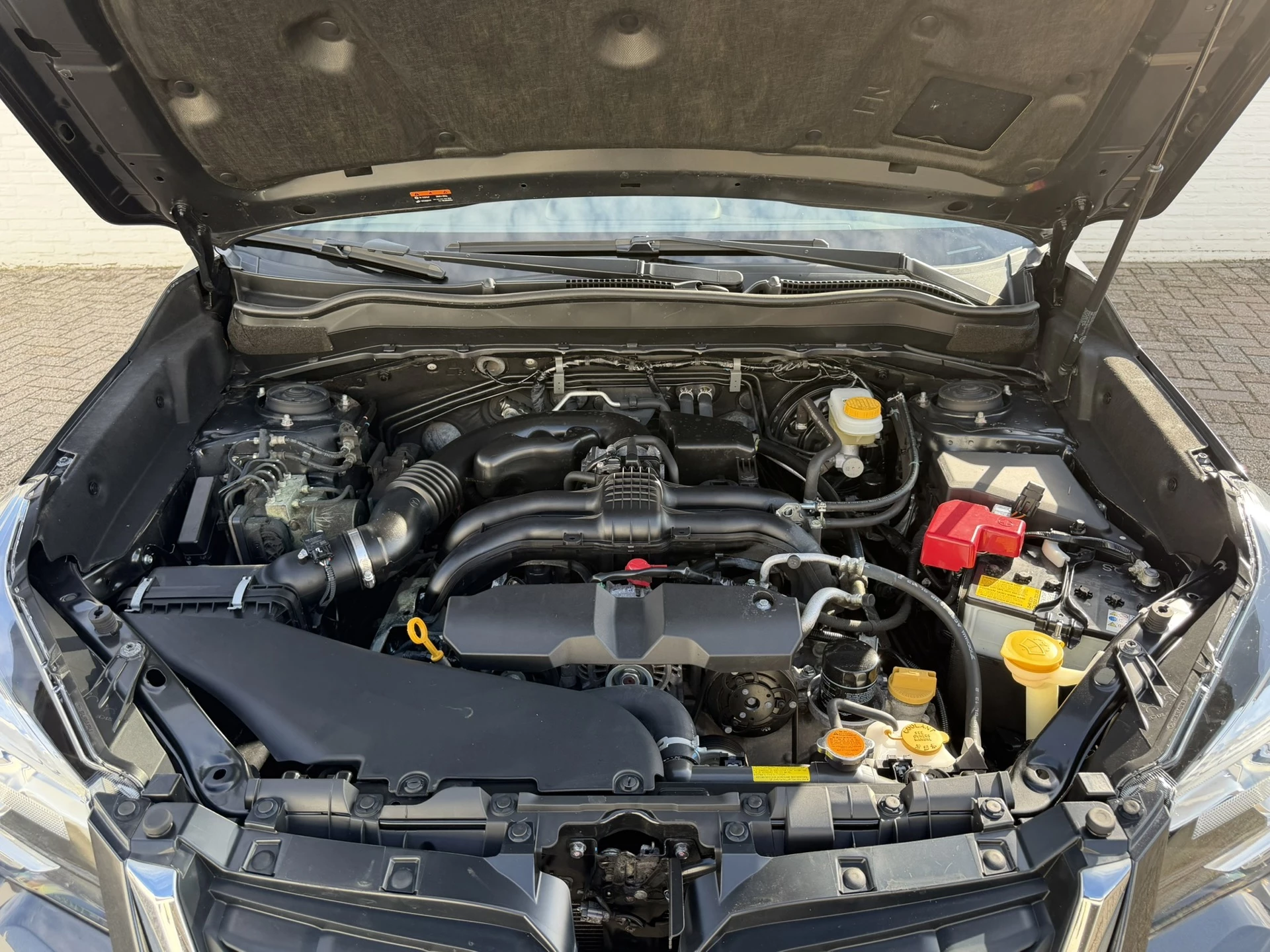 Hoofdafbeelding Subaru Forester