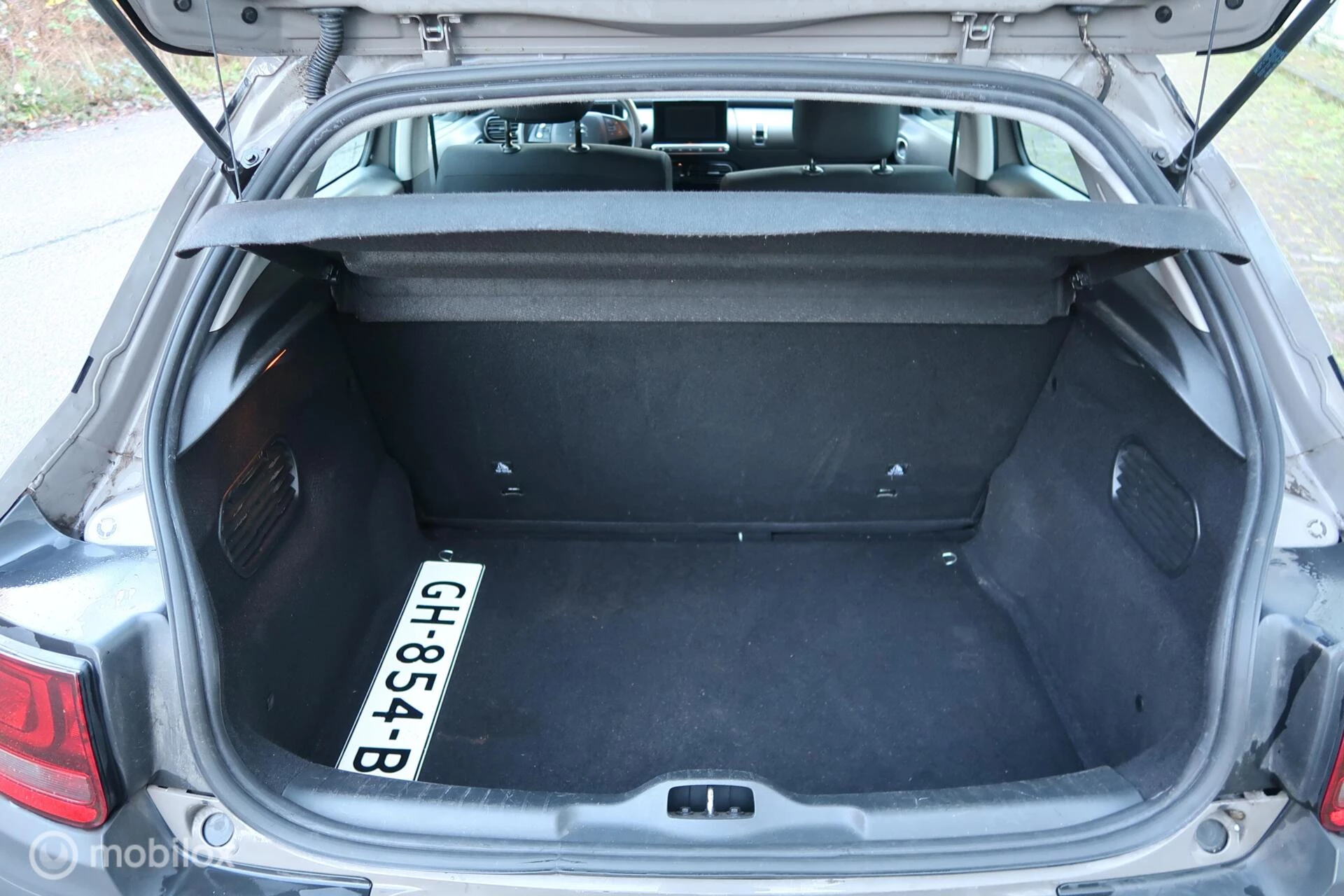 Hoofdafbeelding Citroën C4 Cactus