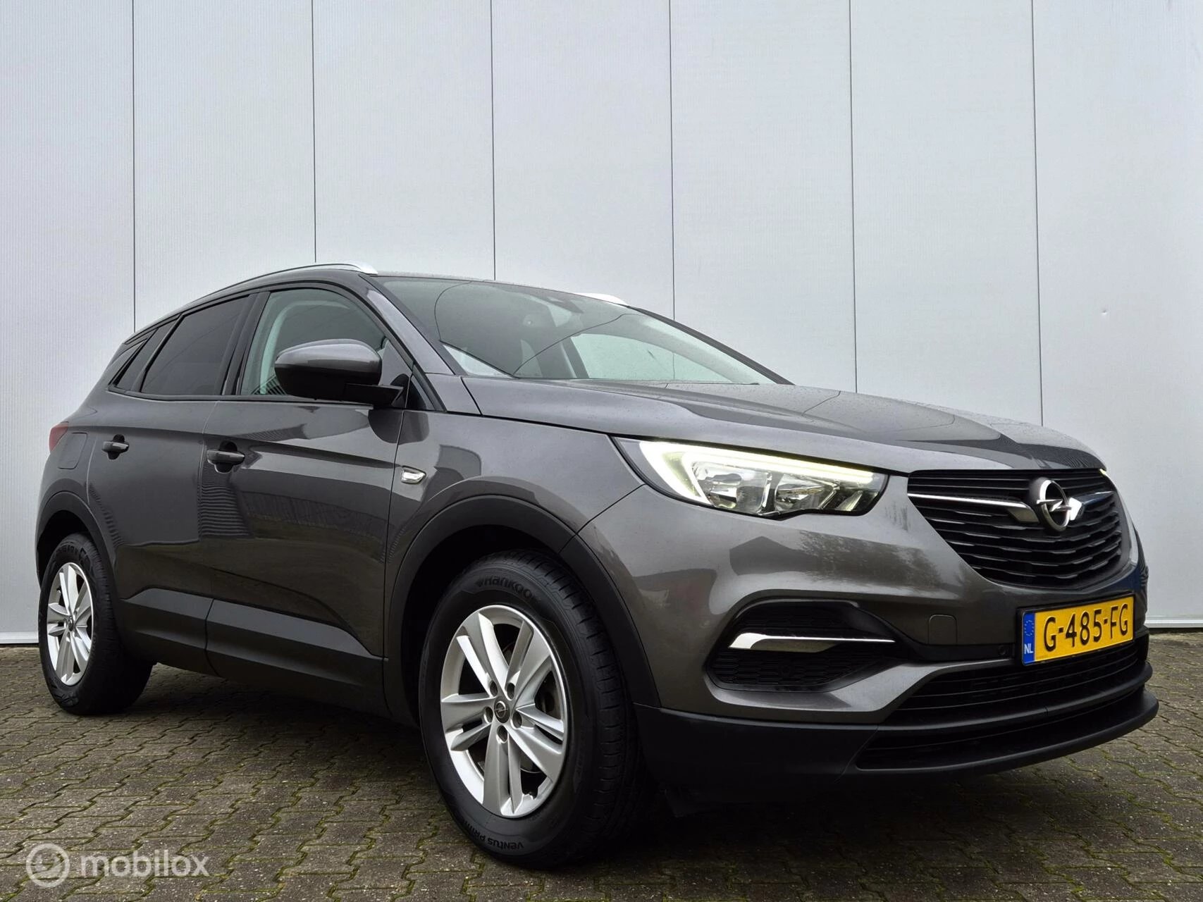 Hoofdafbeelding Opel Grandland X