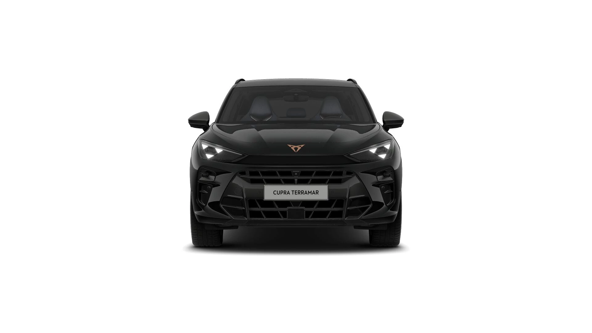 Hoofdafbeelding CUPRA Terramar