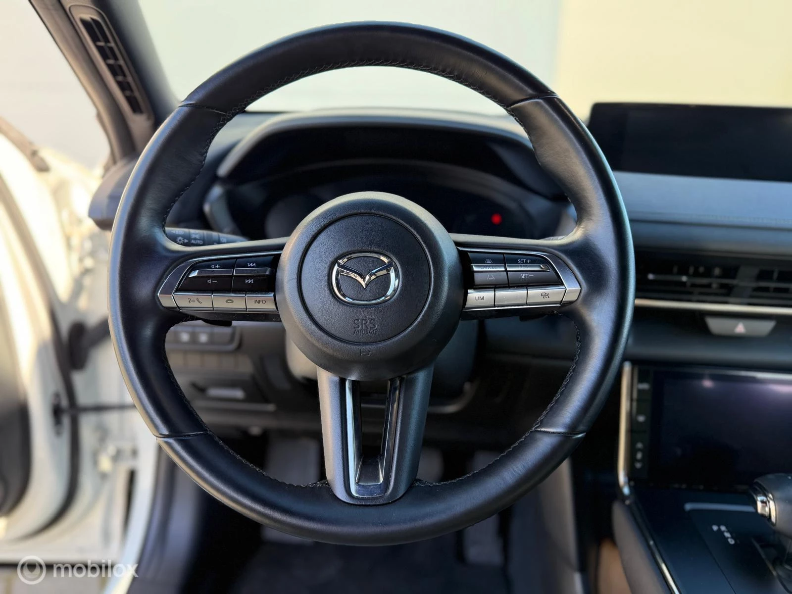 Hoofdafbeelding Mazda MX-30