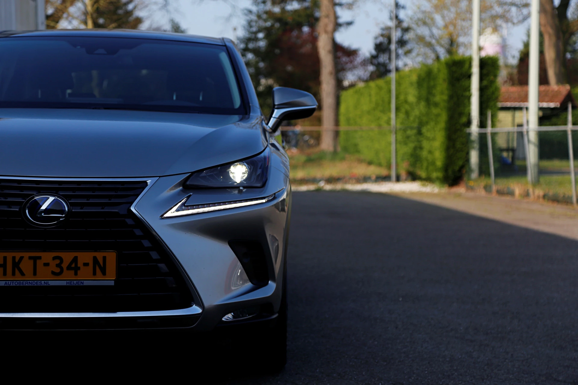 Hoofdafbeelding Lexus NX