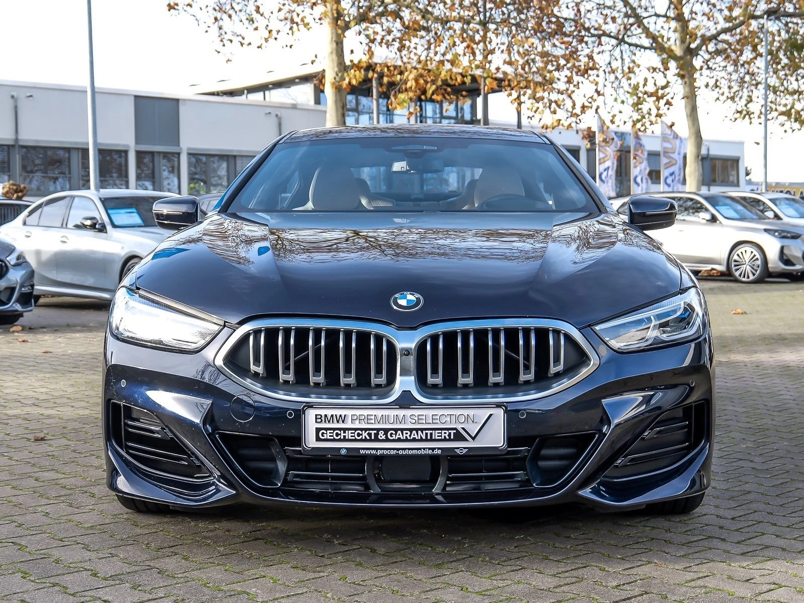 Hoofdafbeelding BMW 8 Serie
