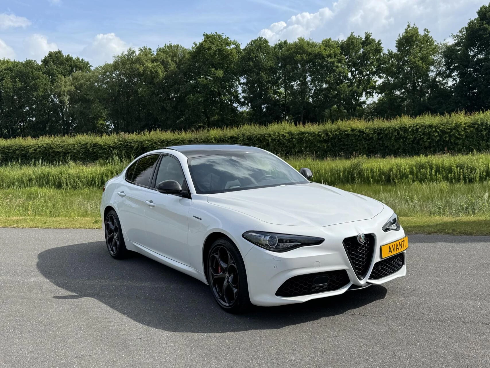 Hoofdafbeelding Alfa Romeo Giulia