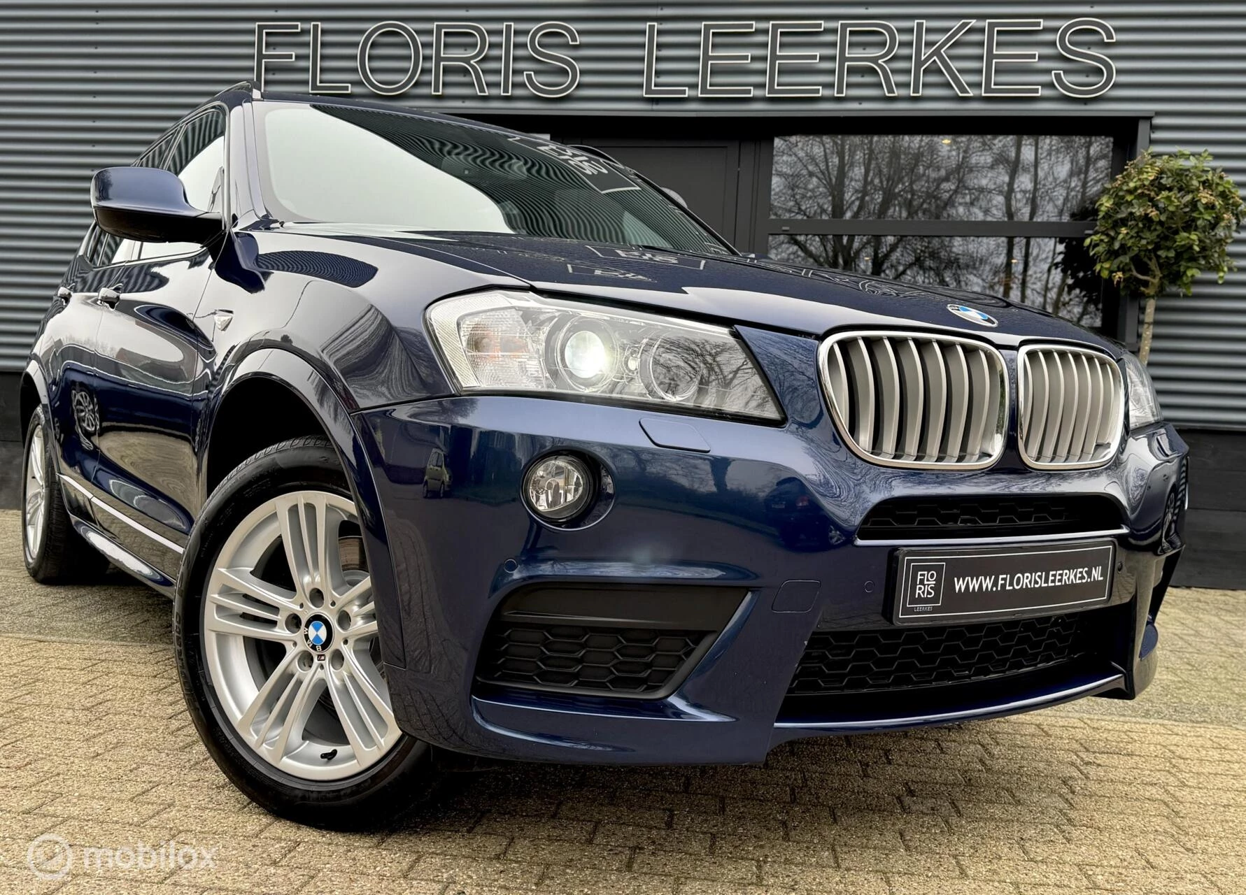 Hoofdafbeelding BMW X3