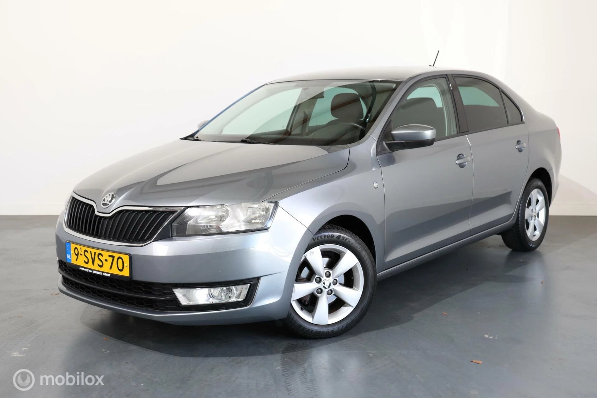 Hoofdafbeelding Škoda Rapid