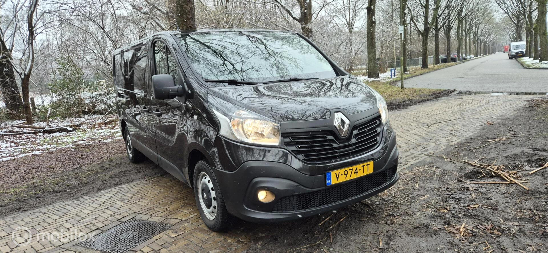 Hoofdafbeelding Renault Trafic