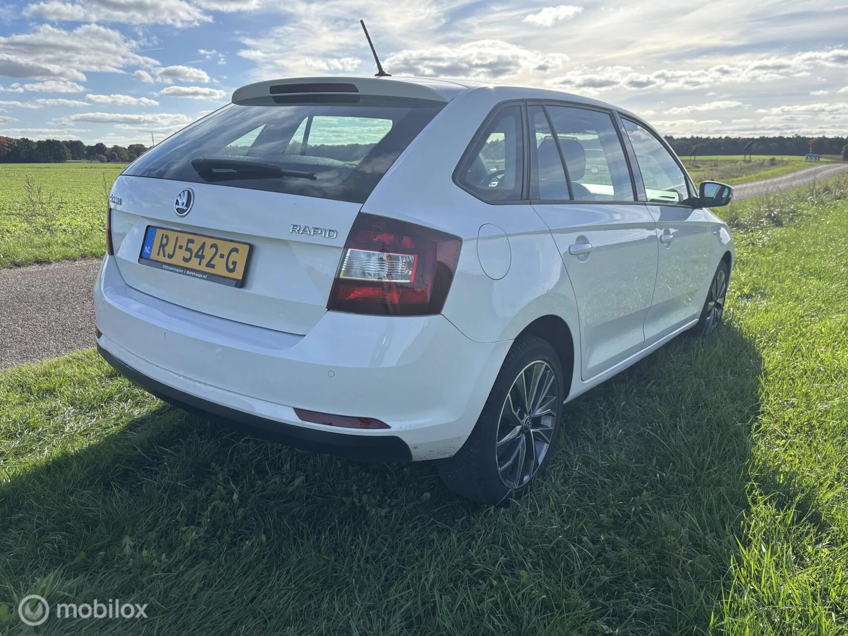 Hoofdafbeelding Škoda Rapid