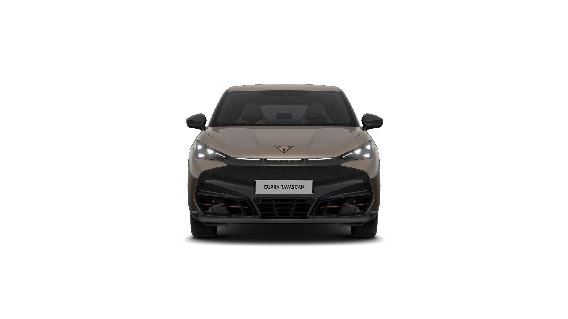 Hoofdafbeelding CUPRA Tavascan