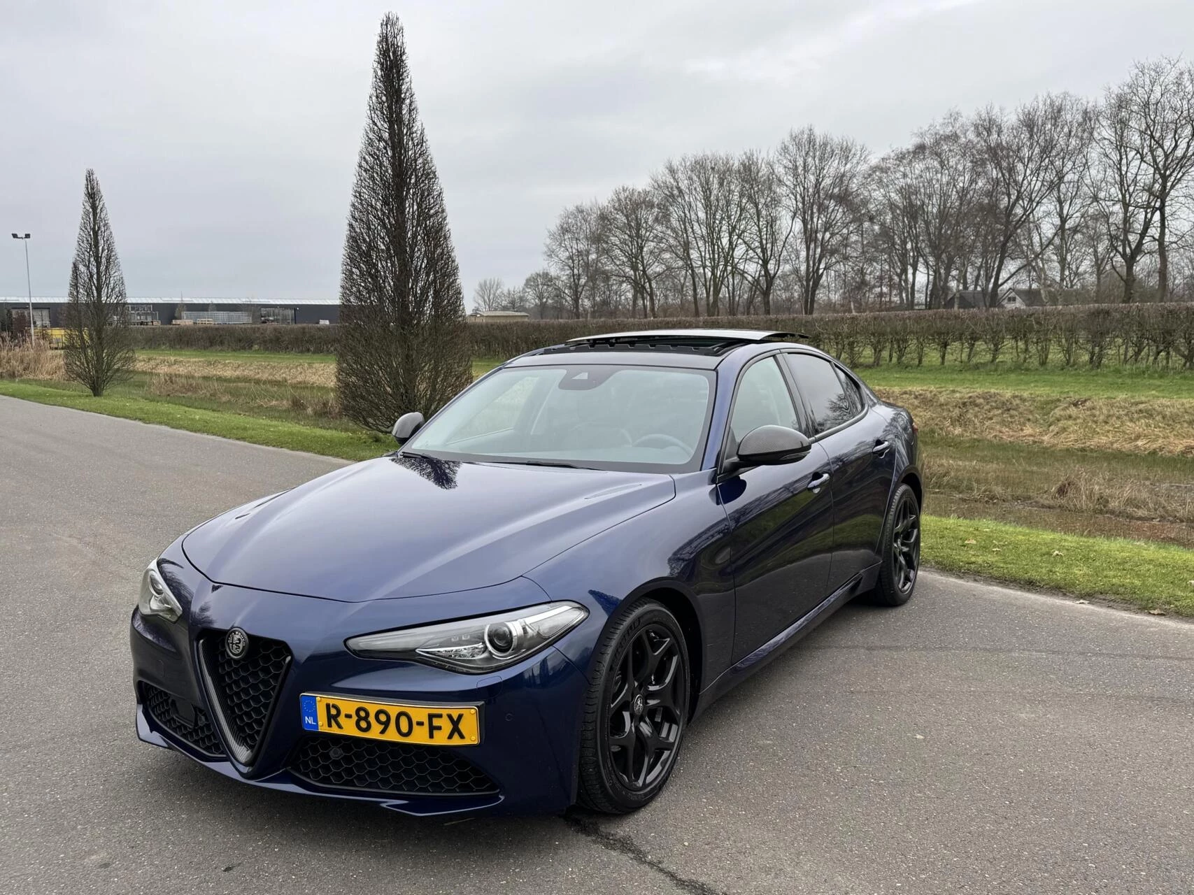 Hoofdafbeelding Alfa Romeo Giulia