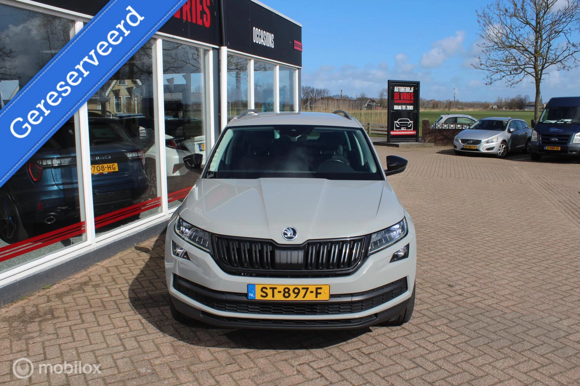 Hoofdafbeelding Škoda Kodiaq