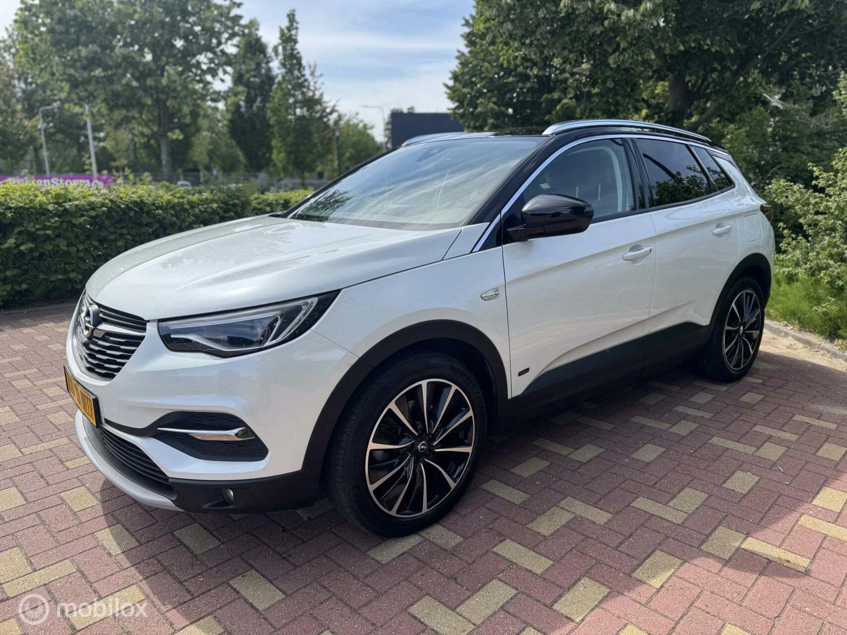 Hoofdafbeelding Opel Grandland X