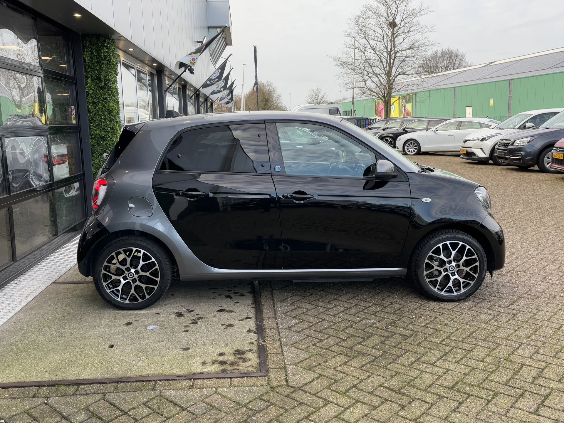 Hoofdafbeelding Smart Forfour