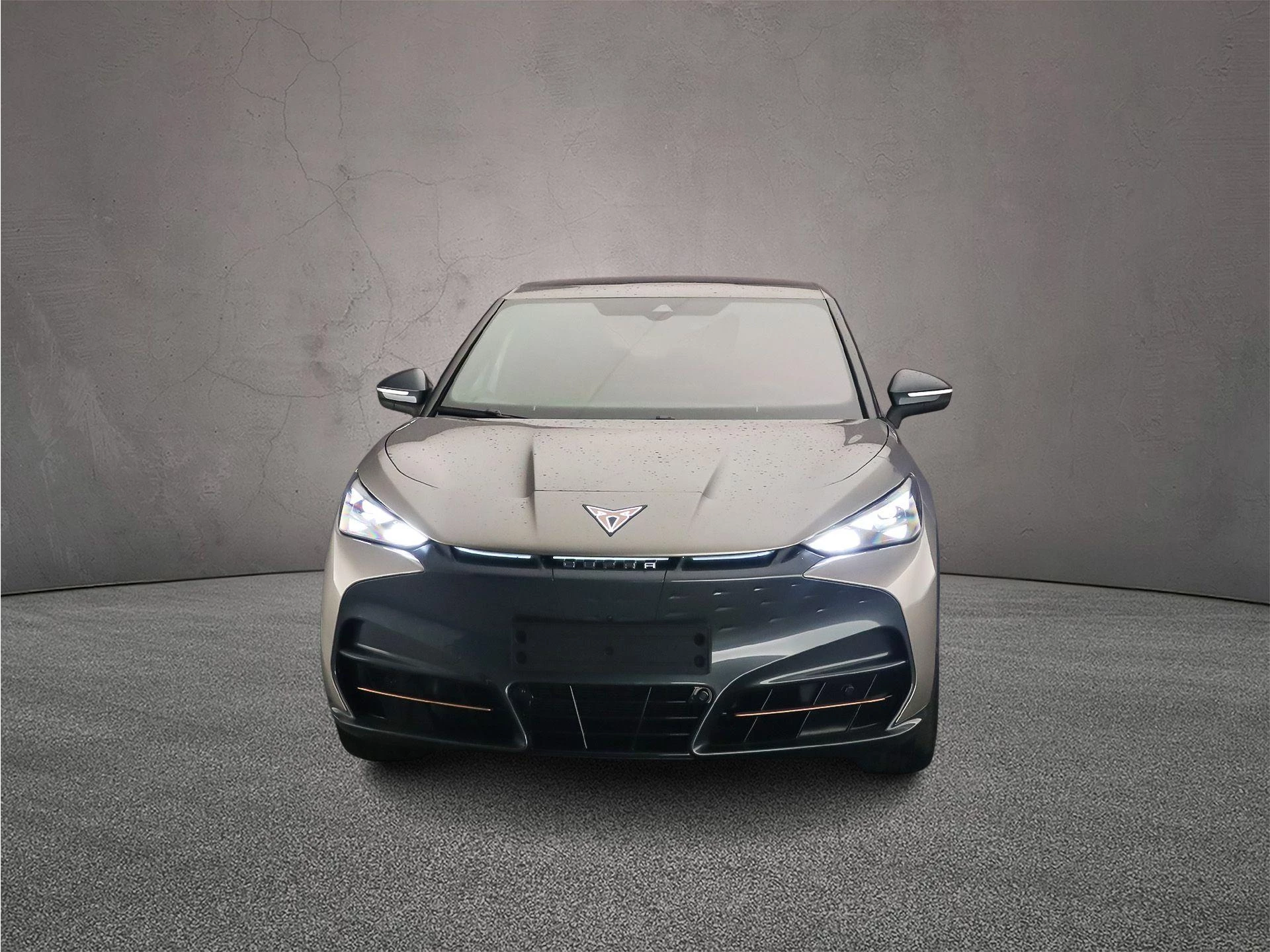 Hoofdafbeelding CUPRA Tavascan