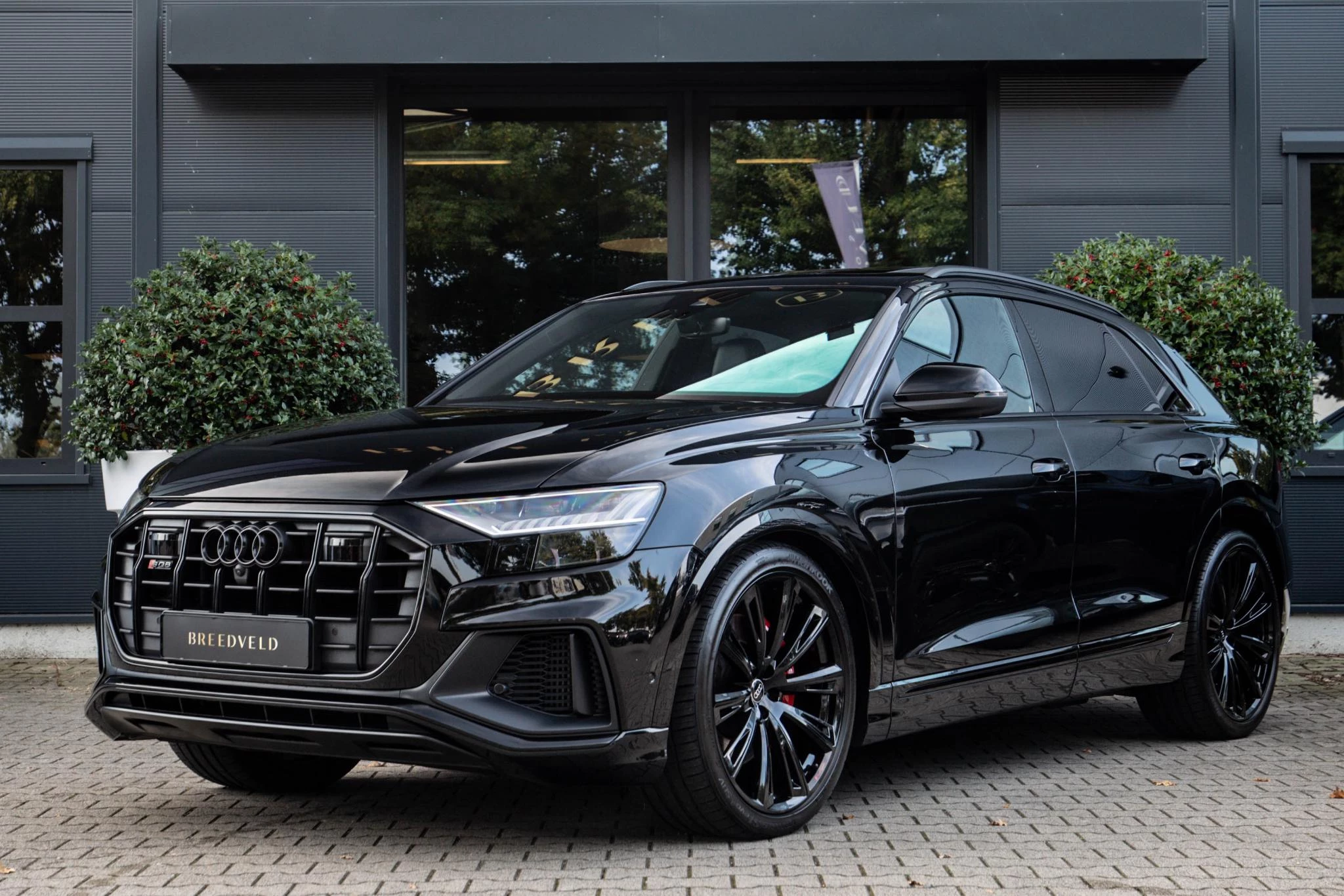 Hoofdafbeelding Audi SQ8