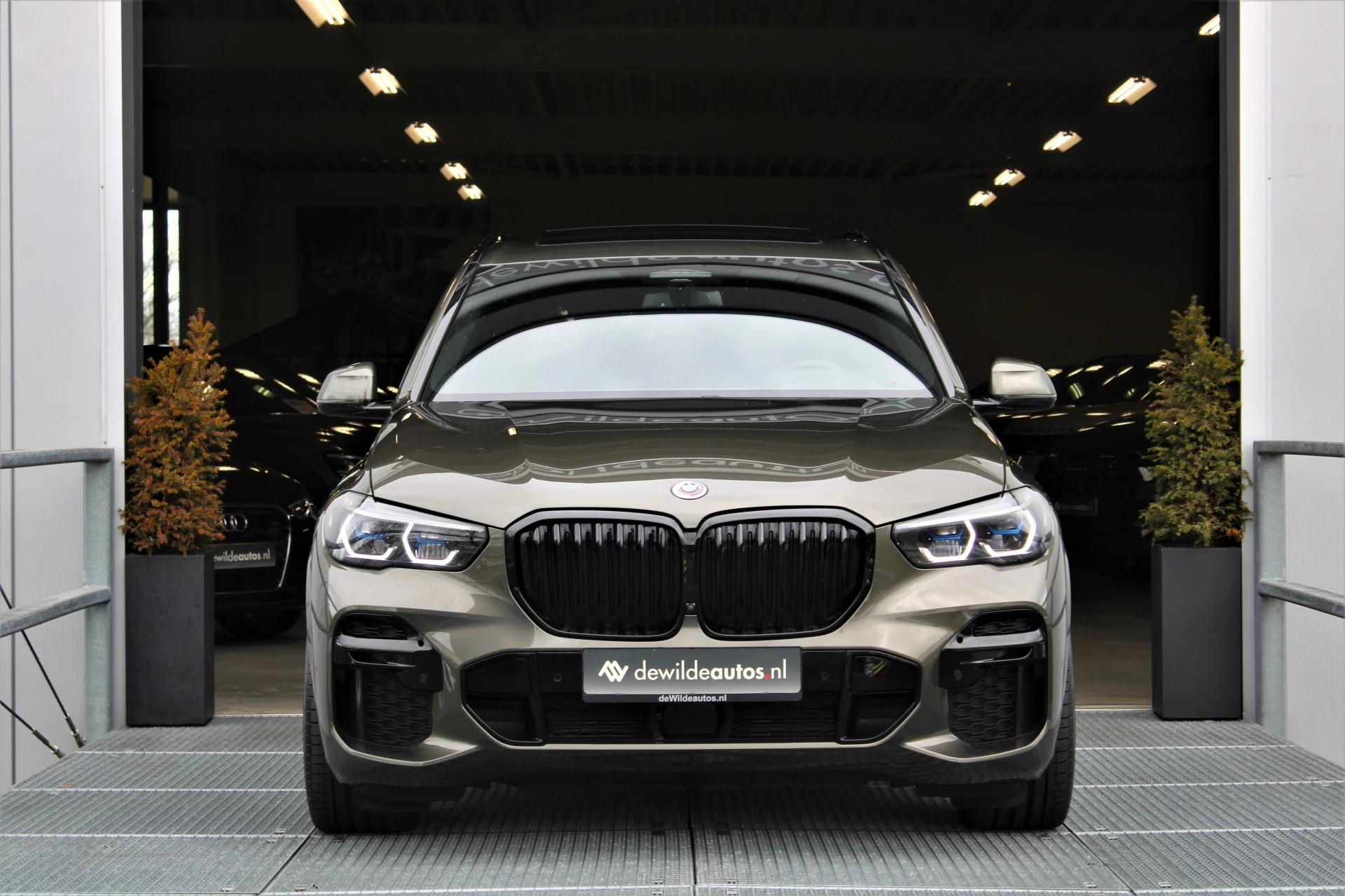 Hoofdafbeelding BMW X5