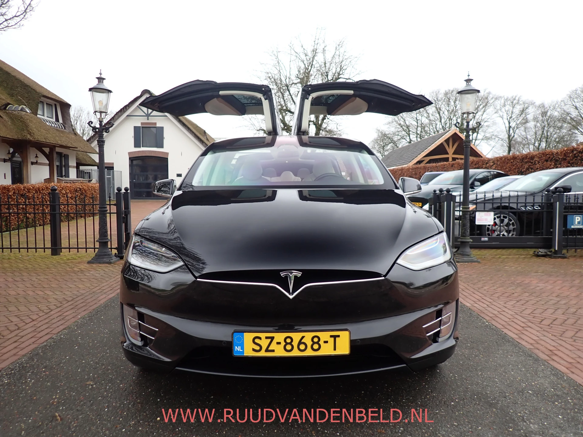 Hoofdafbeelding Tesla Model X
