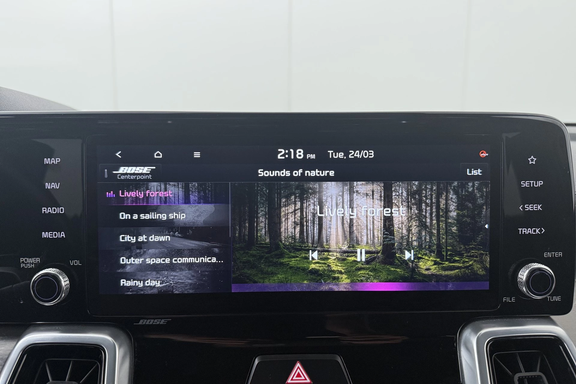 Hoofdafbeelding Kia Sorento