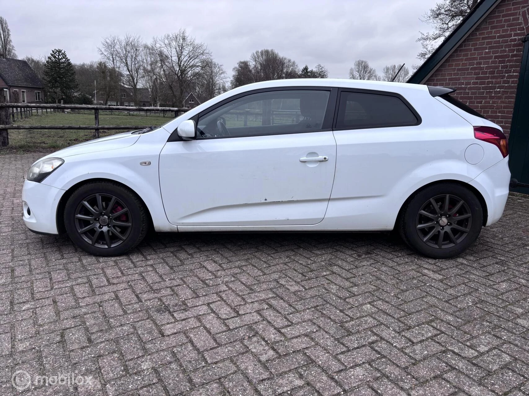 Hoofdafbeelding Kia pro_cee'd