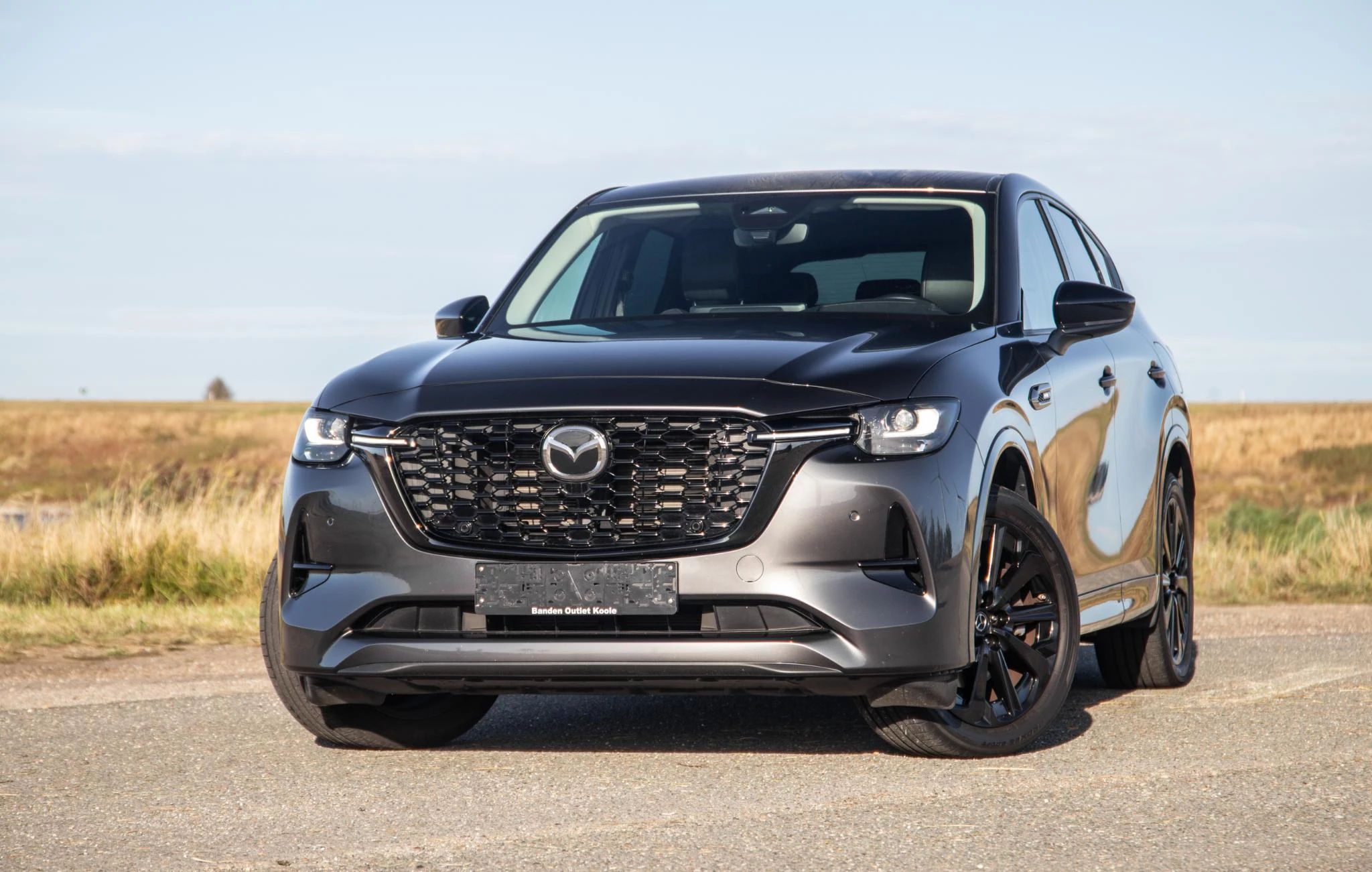 Hoofdafbeelding Mazda CX-60