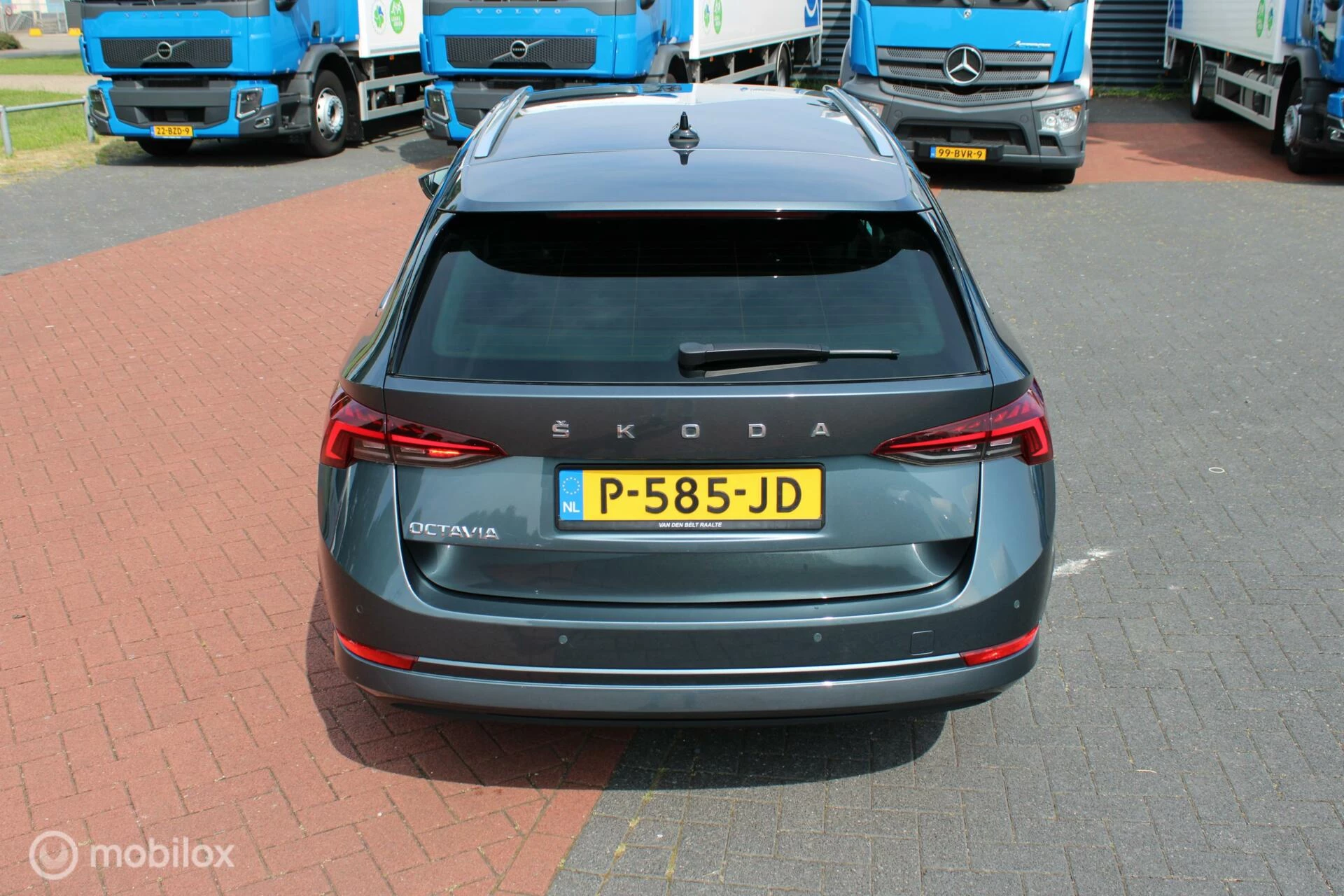 Hoofdafbeelding Škoda Octavia
